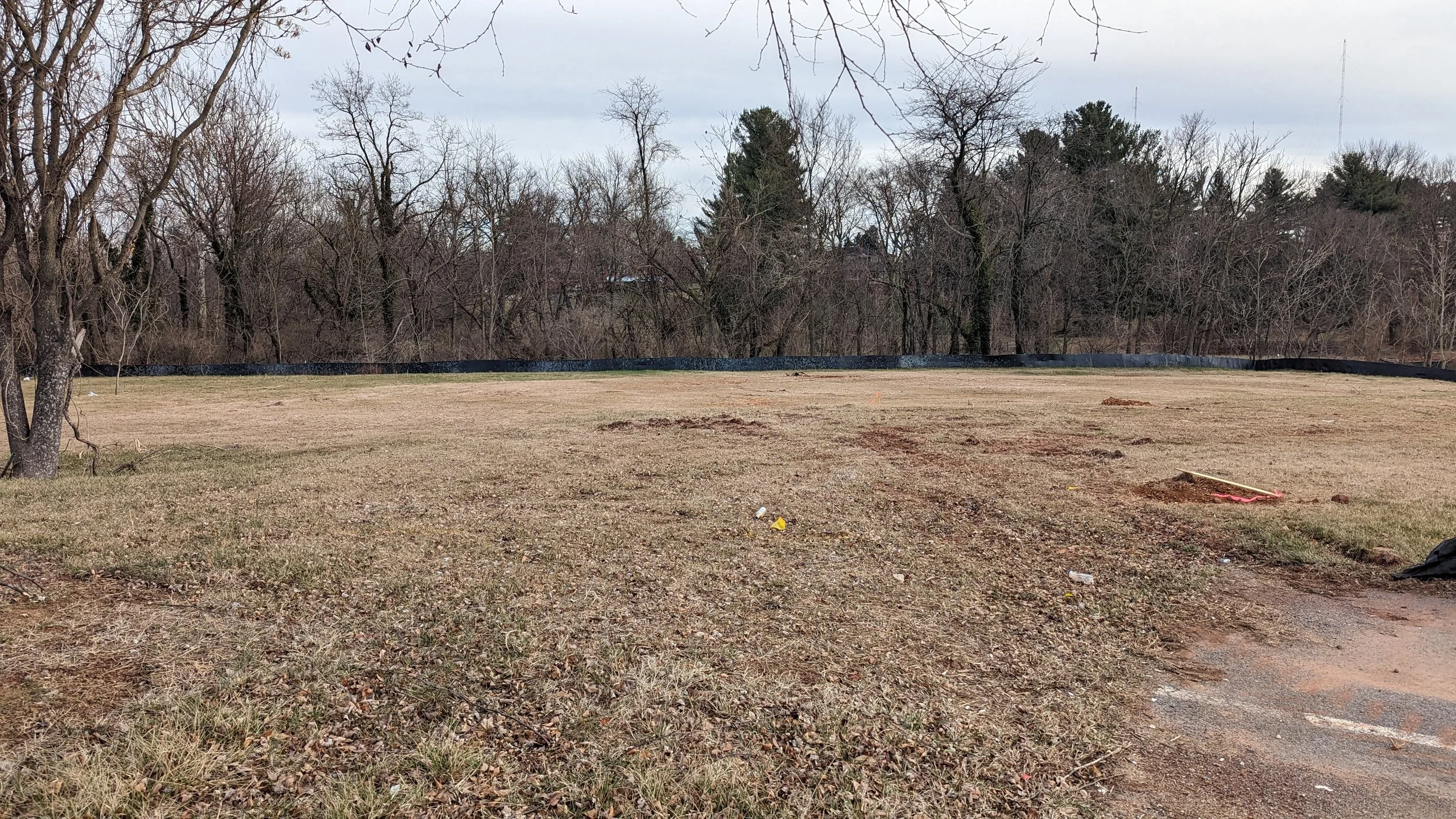 A grassy field with bare trees in the background and a black fence along the horizon, overcast sky.