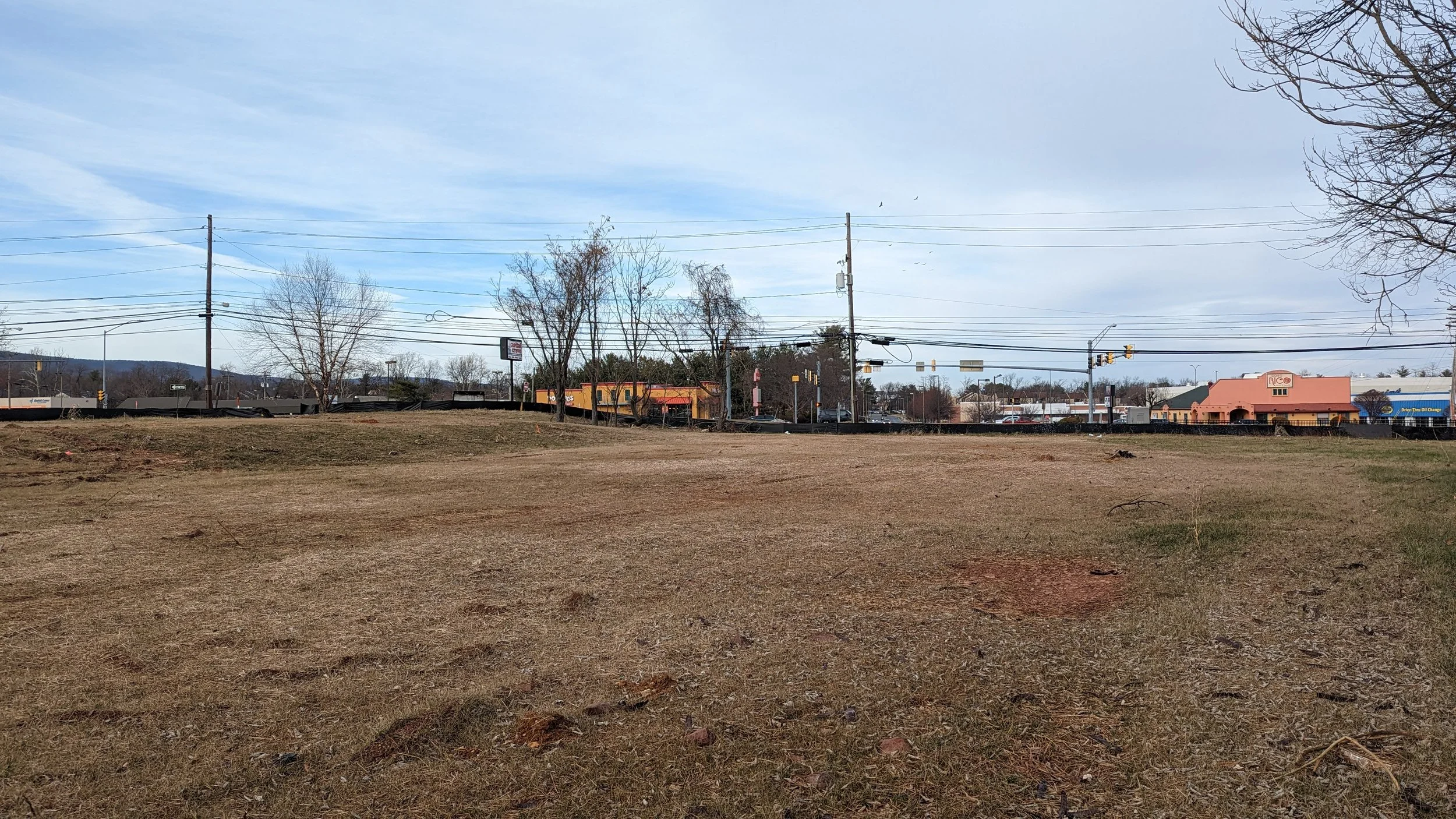 An open field with bare ground and patches of grass, with a row of trees and buildings in the background under a partly cloudy sky.
