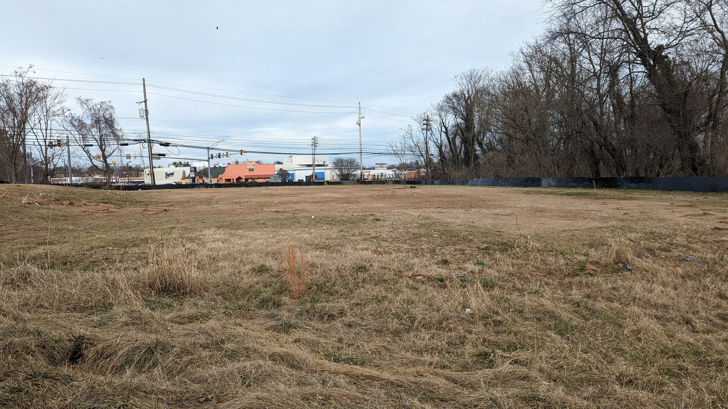 Open grassy lot with city commercial buildings and leafless trees in the background, under cloudy sky.