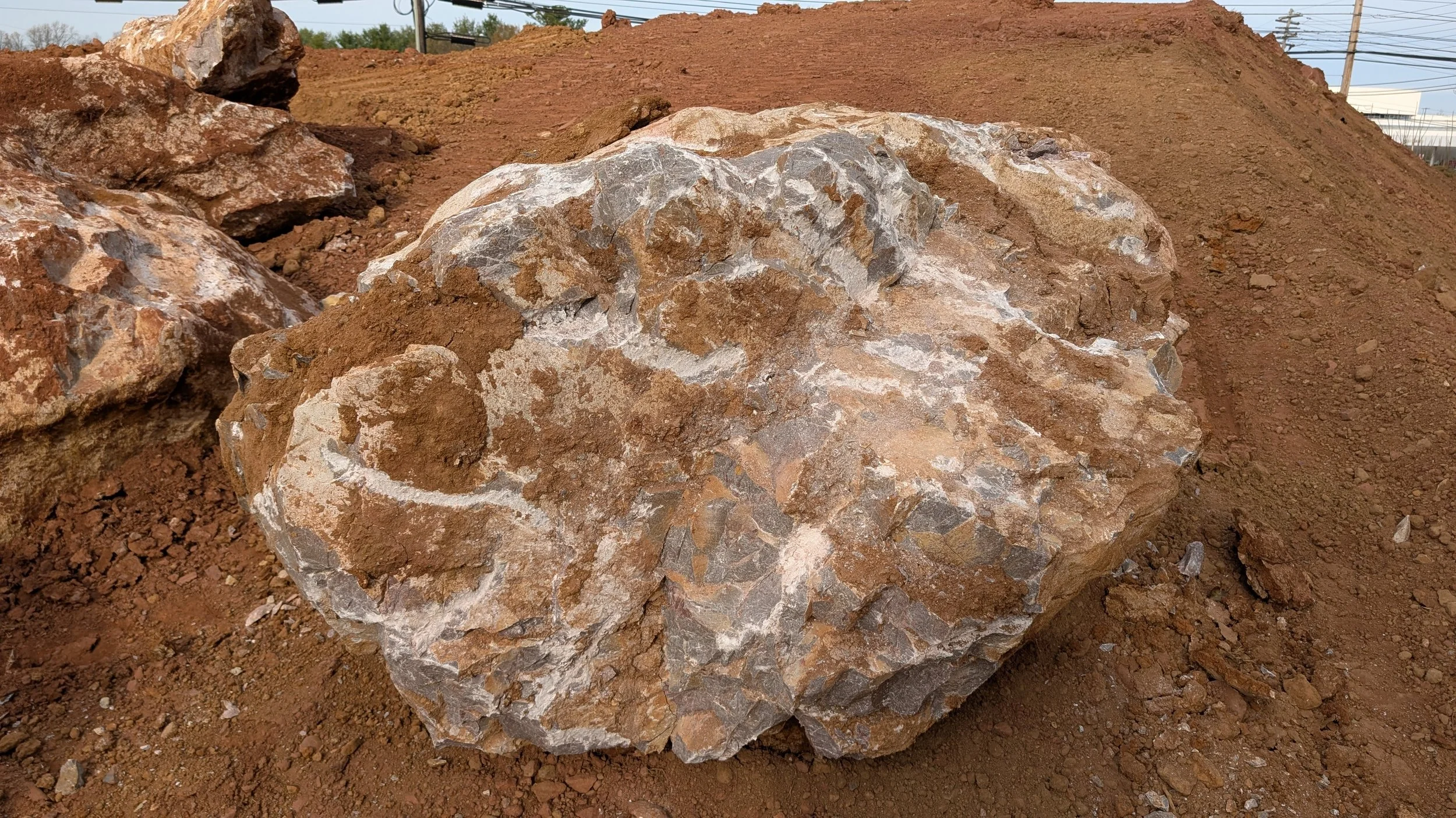 A large rock with a mix of brown, white, and gray colors on a bed of reddish-brown dirt.