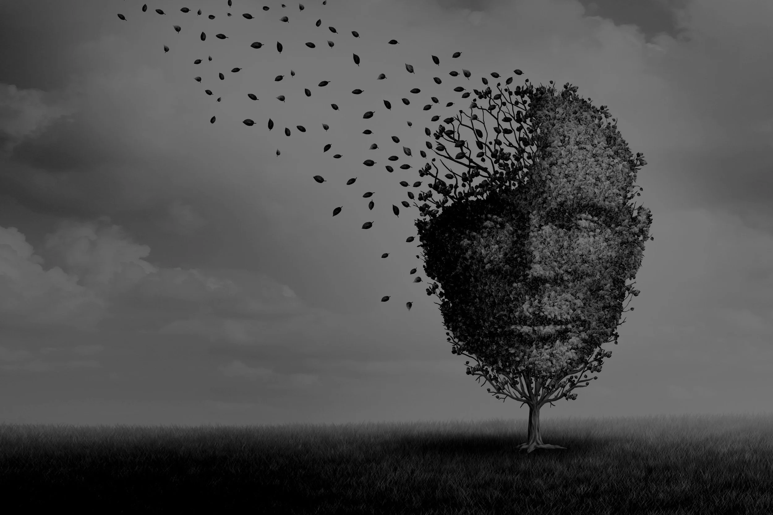 Types of Losses — Private Practice Grief