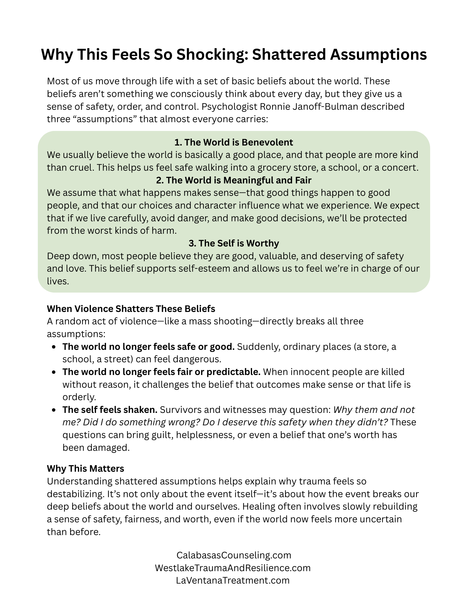 why this feels so shocking: shattered assumptions handout. (written out below)