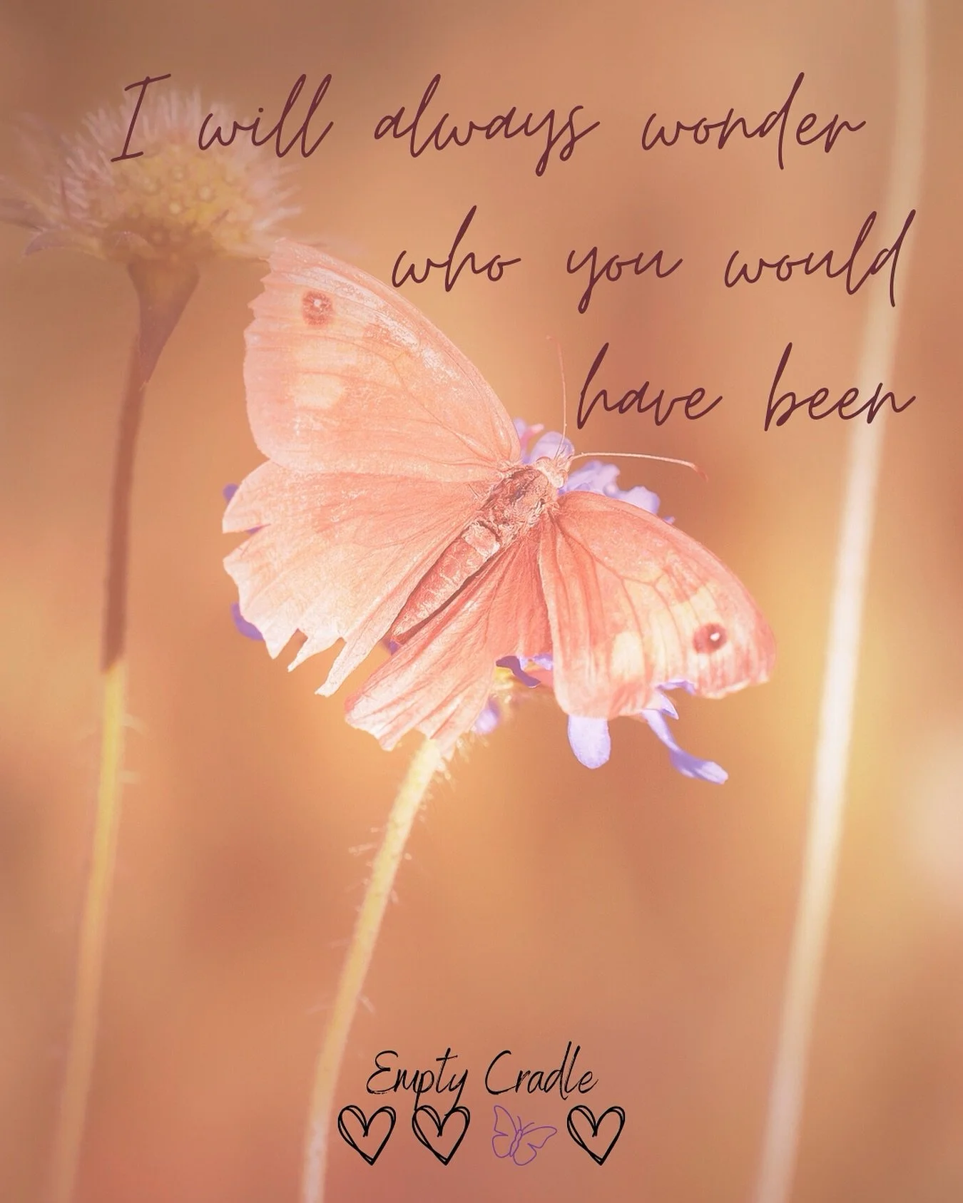 🦋