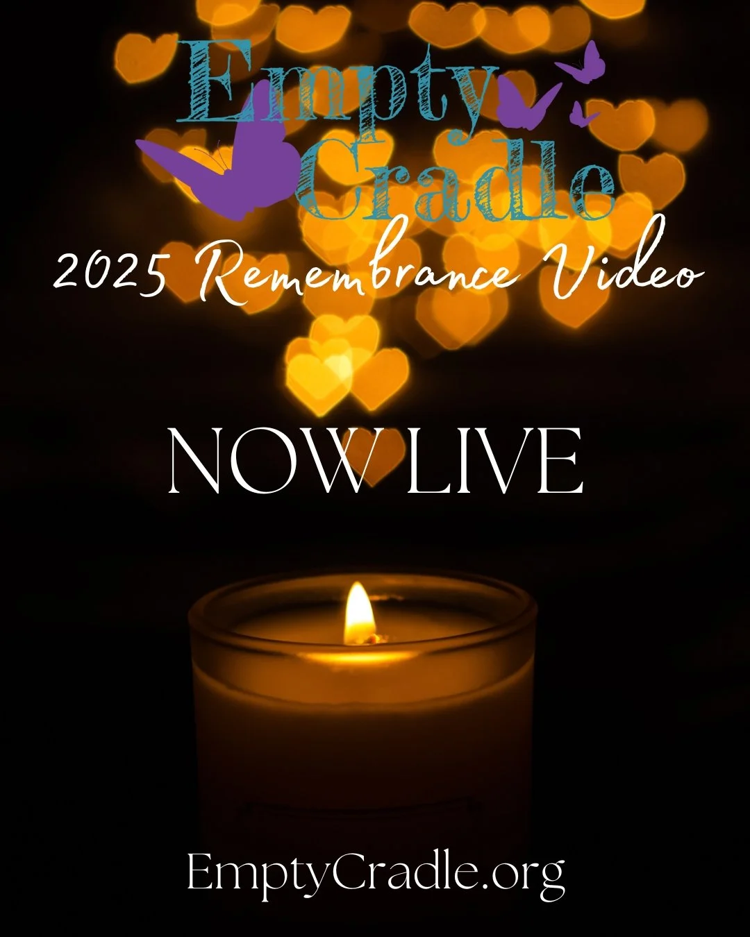 2025 Empty Cradle Remembrance Video is now live
https://youtu.be/PiHL7XzcX4Q
Honoring All Babies Gone Too Soon
We are deeply honored to share and remember your precious babies &mdash; their names, faces, and remembrance dates &mdash; each representin