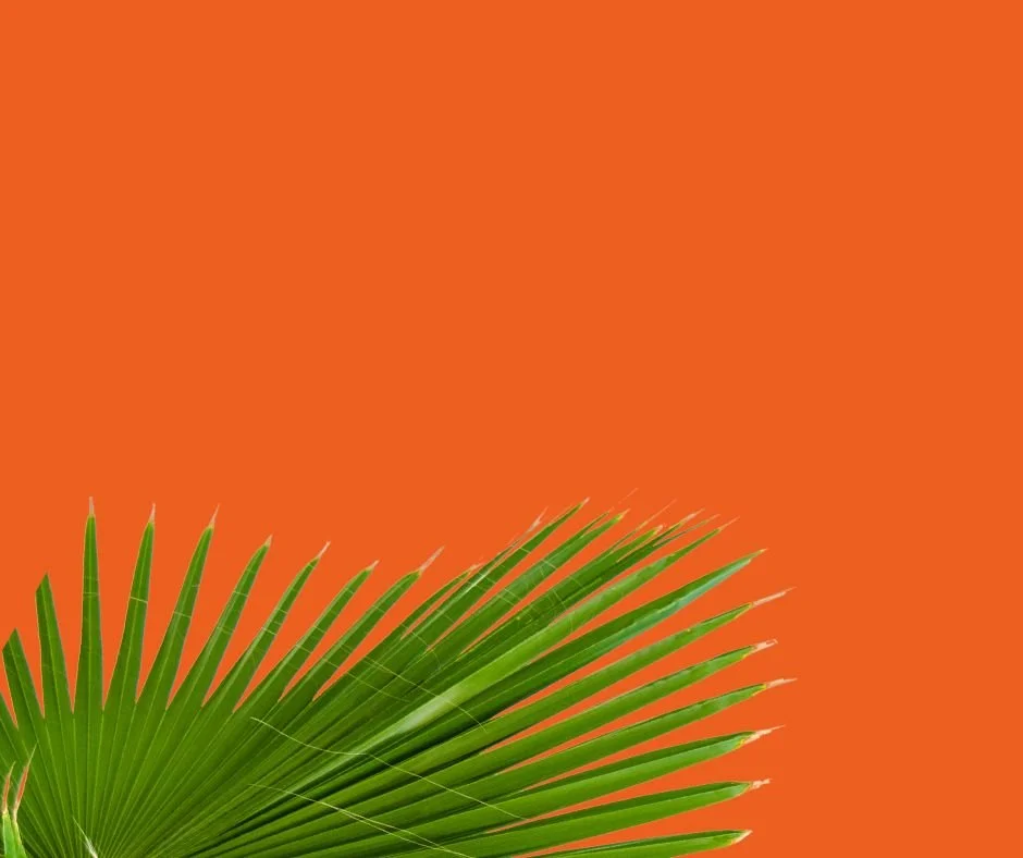 MBMF Website (7).jpg