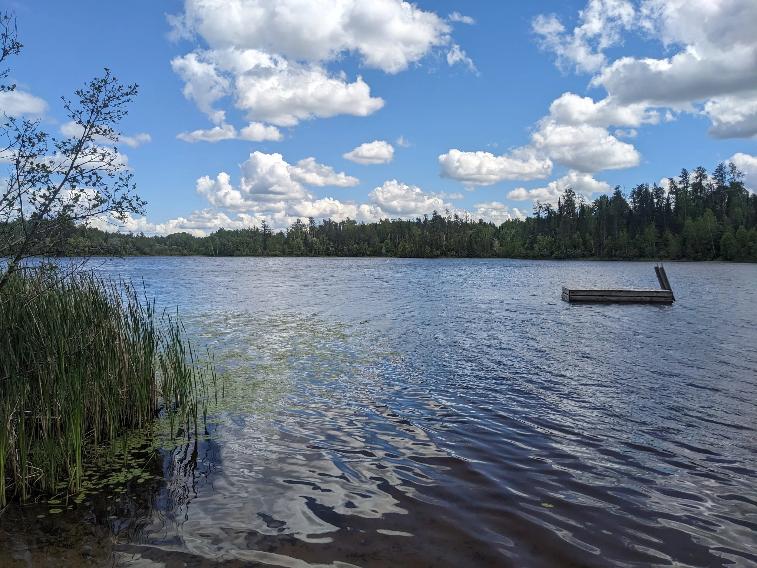 Midsummer 2026 Gallery