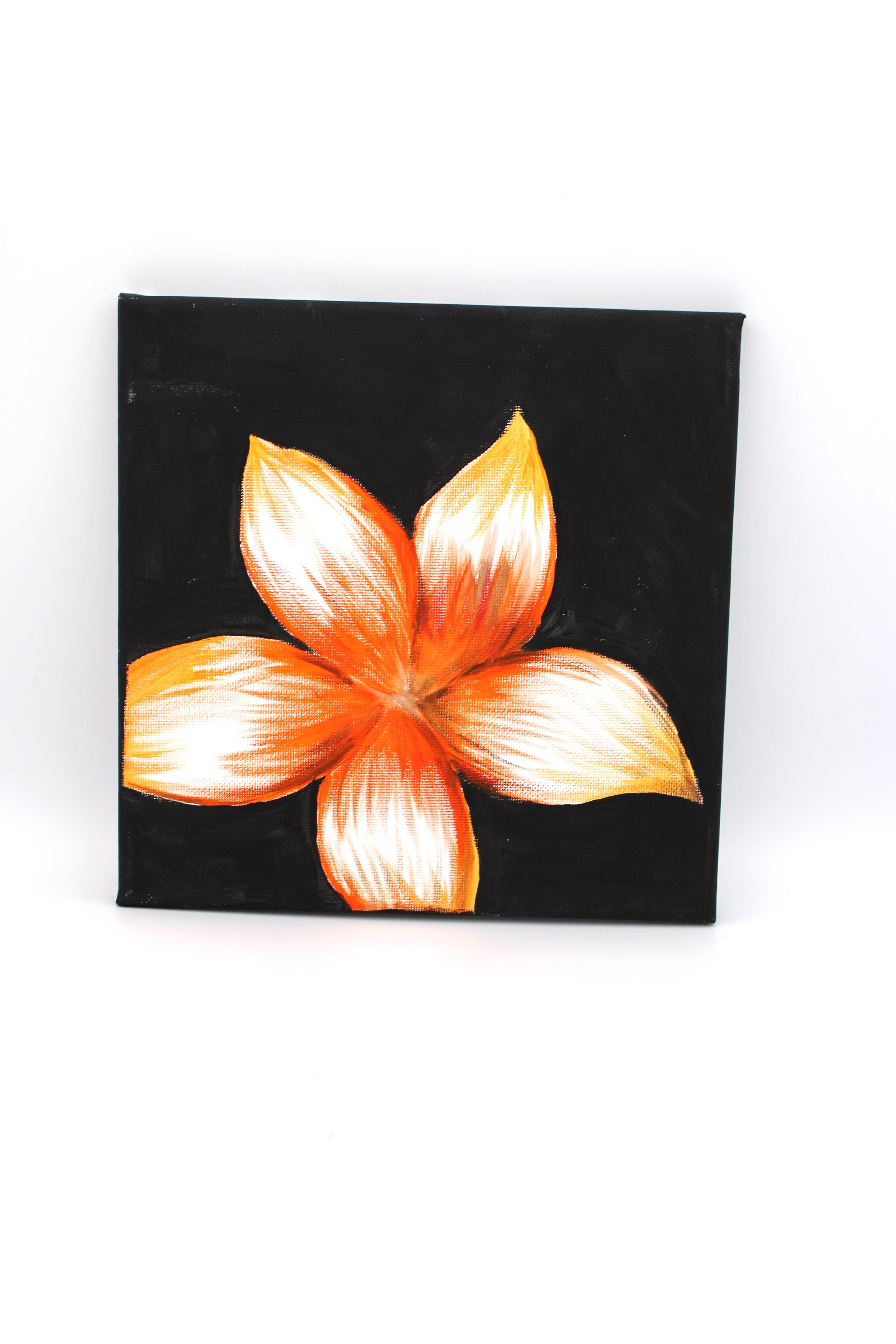 Kiah’s Acrylic Painting