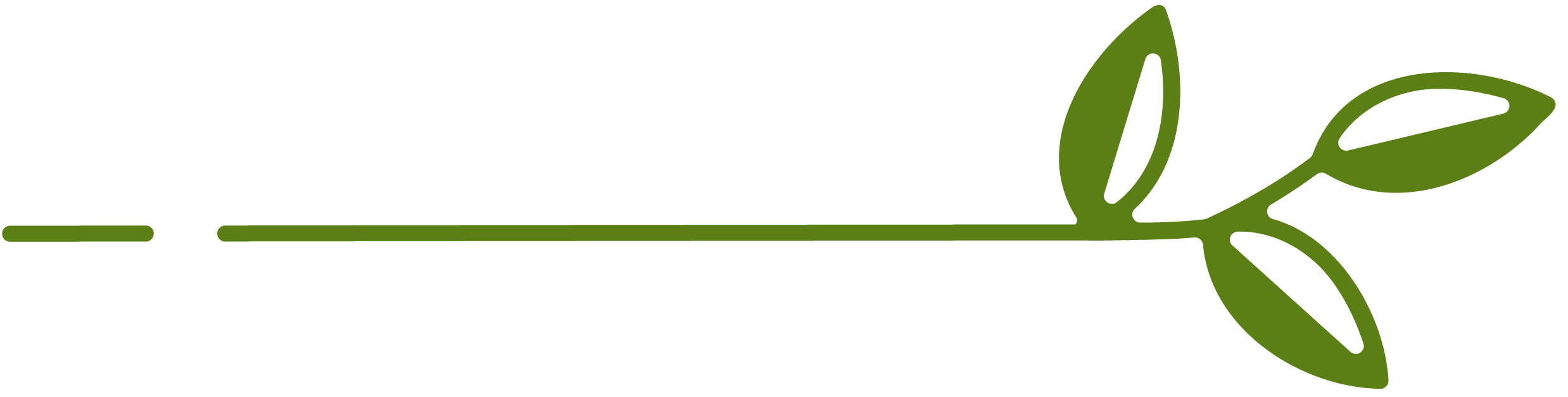 A simple green line drawing of a single stem with three leaves.