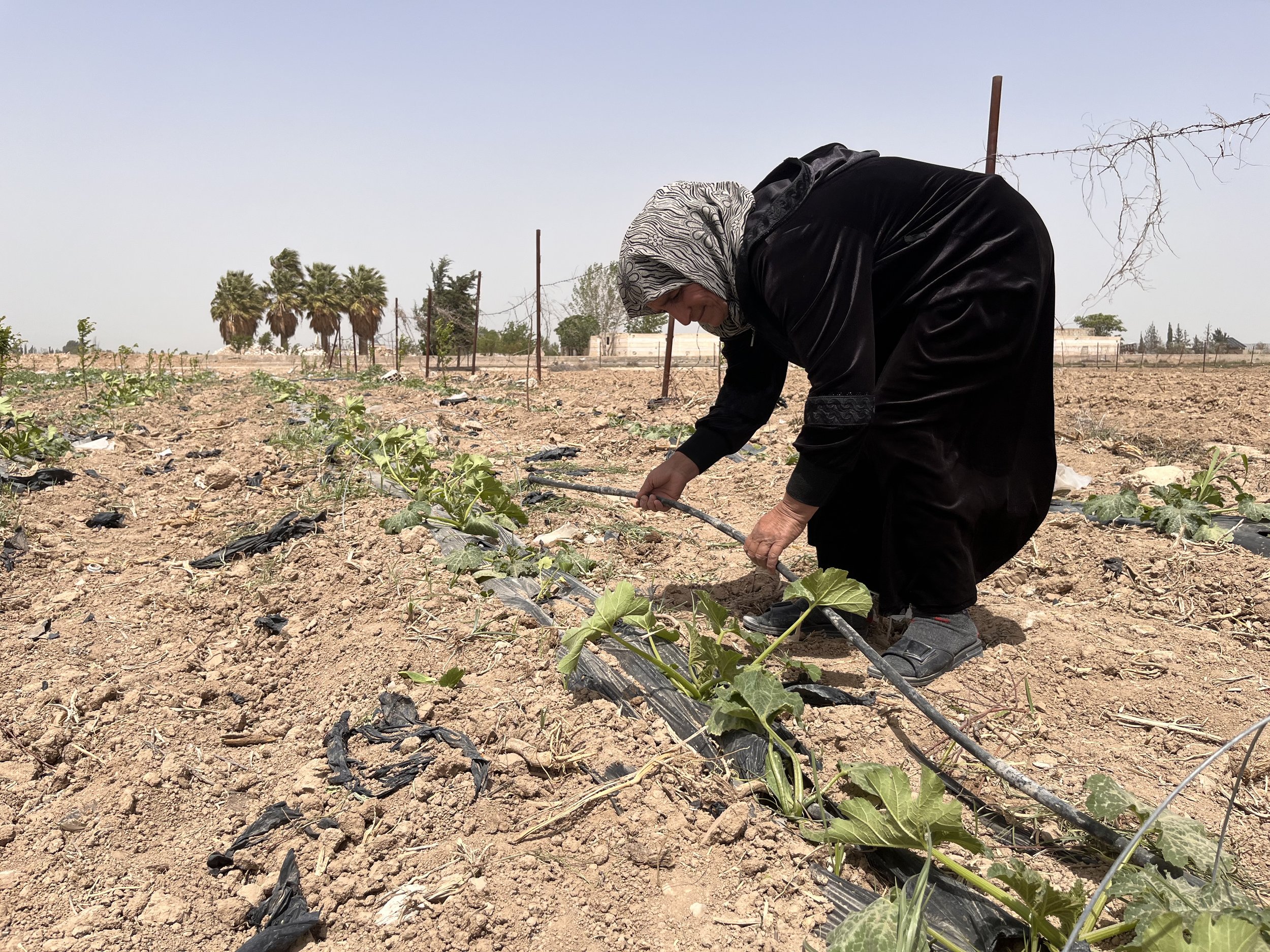 Syria’s Recovery Is Being Led by Women