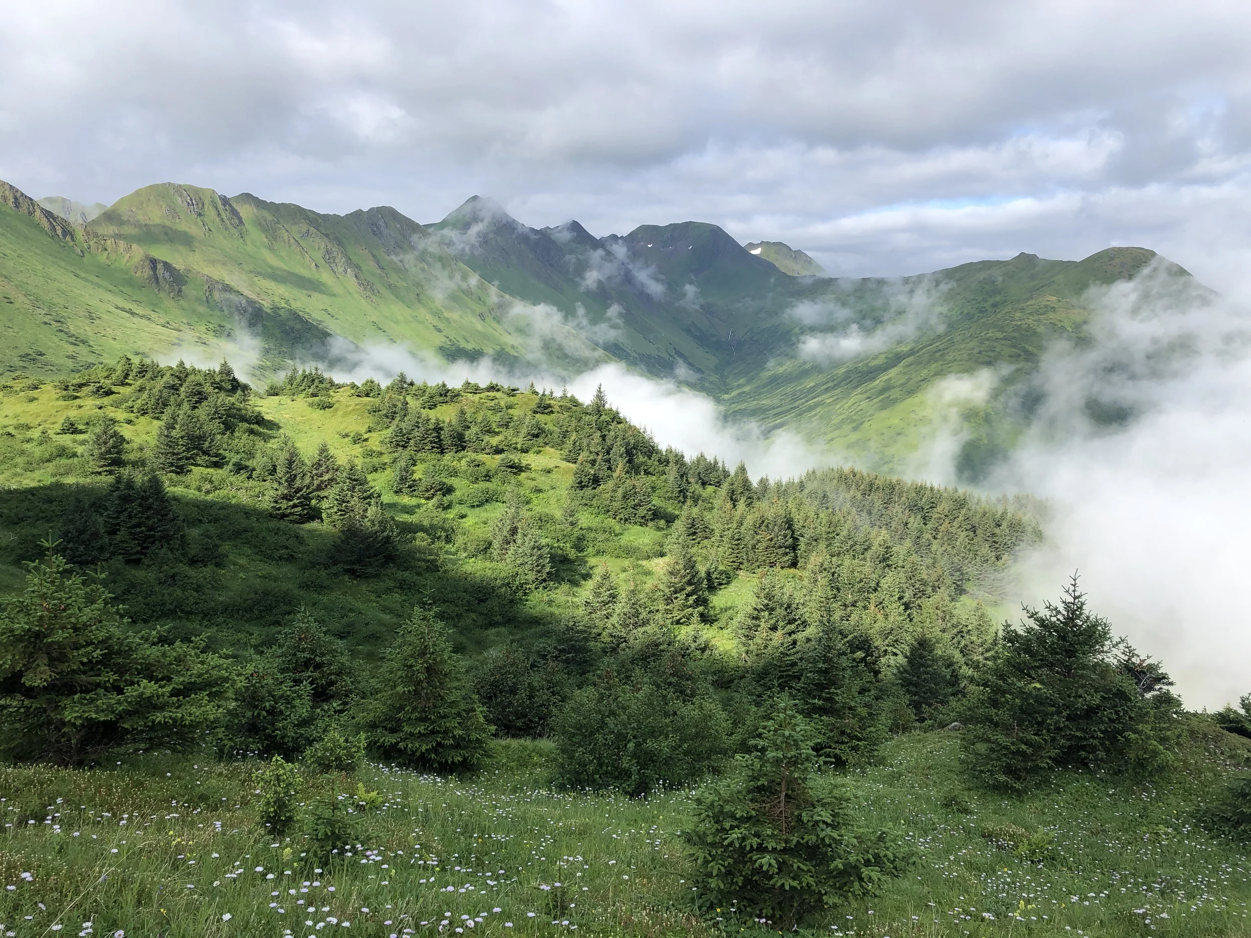 Vacation PackageKodiak Alaskan Adventures