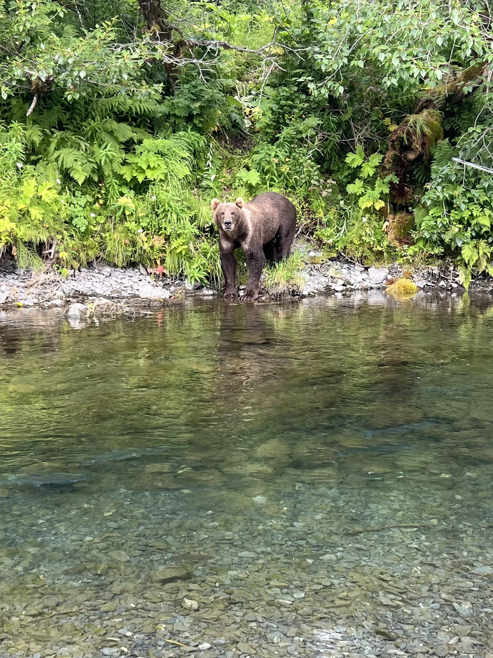 Vacation PackageKodiak Alaskan Adventures