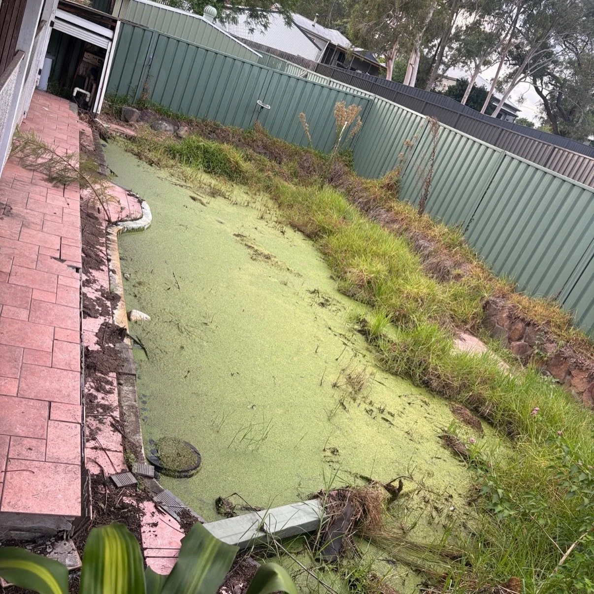 When the pool starts identifying as a lawn. 🌱🫣

Buying a property sight unseen? One reason a pool inspection is non-negotiable&hellip; 👀💧

#poolcleaning
#pool-maintenance
#poolrecovery
MicksPoolCare