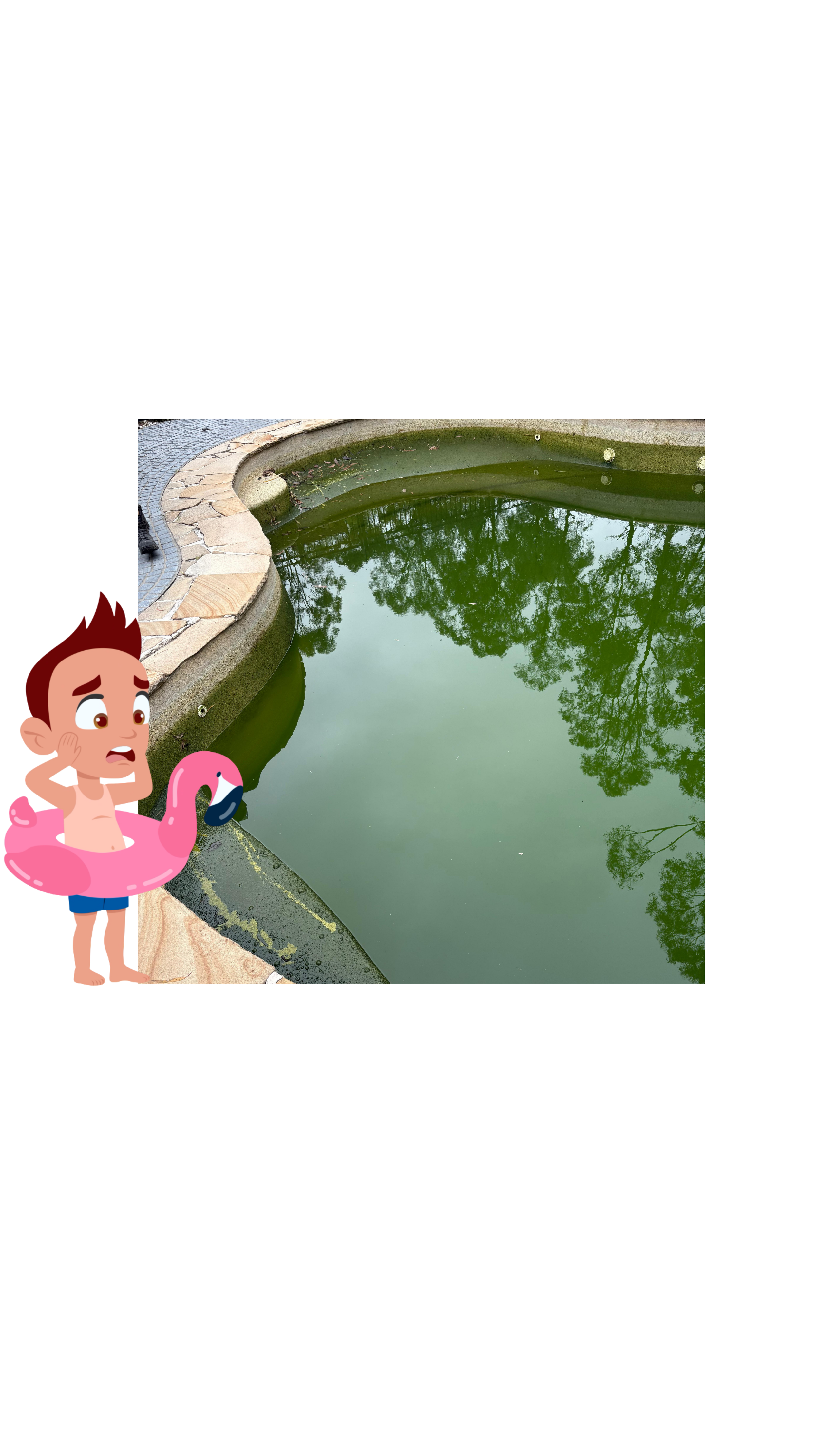 Pool Fails We See All the Time (And How to Avoid Them)