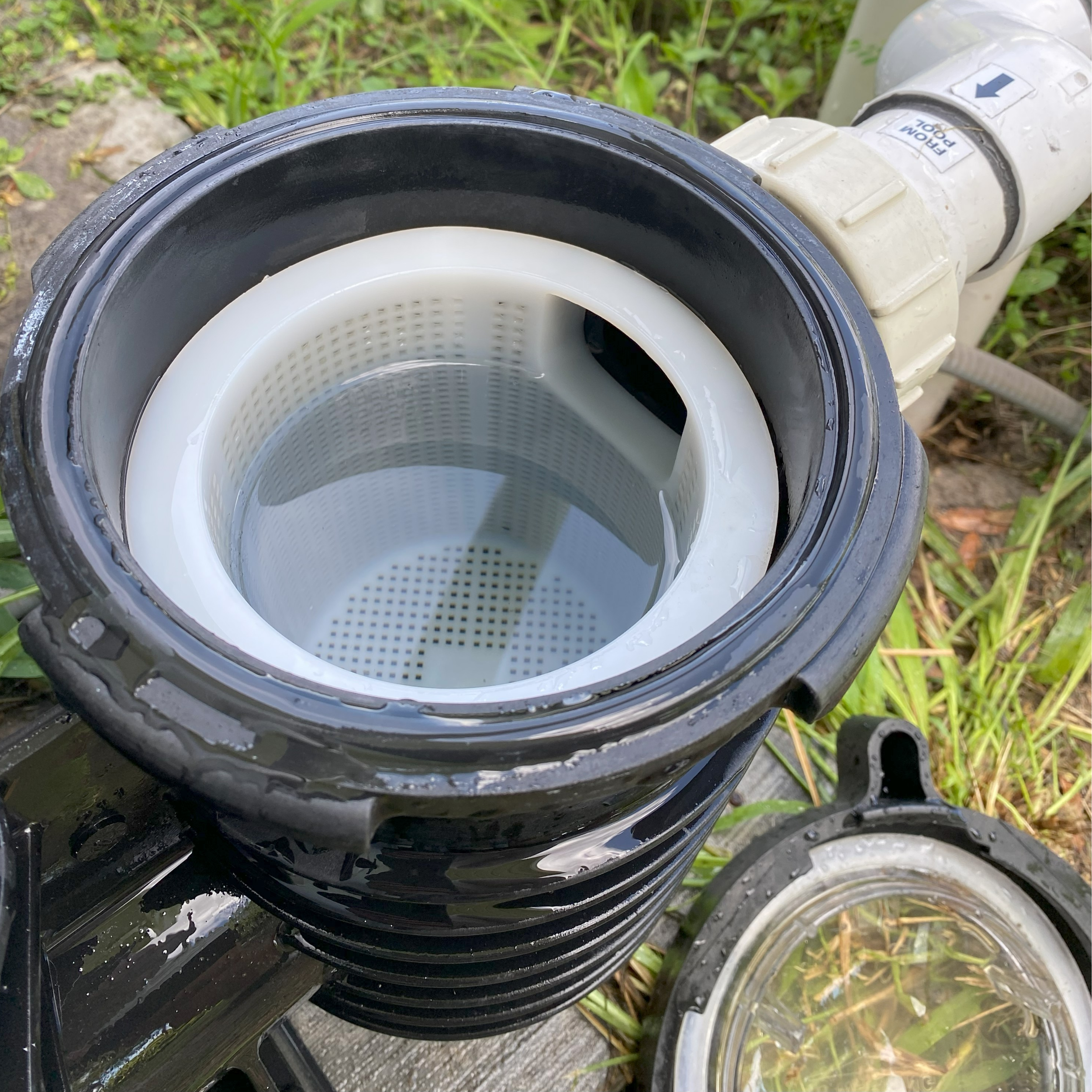 Pool Pump Air Leaks & Loss of Prime: Why Your Pool Is Full of Bubbles ...