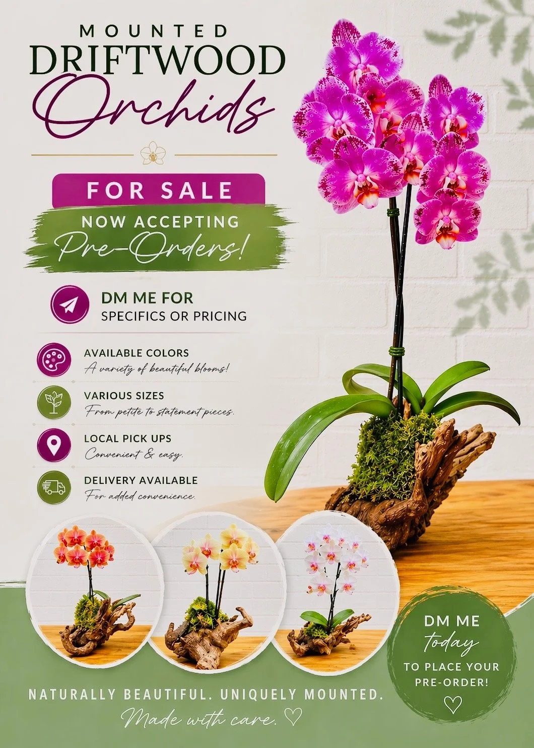 Kokedama & Mounted Orchids