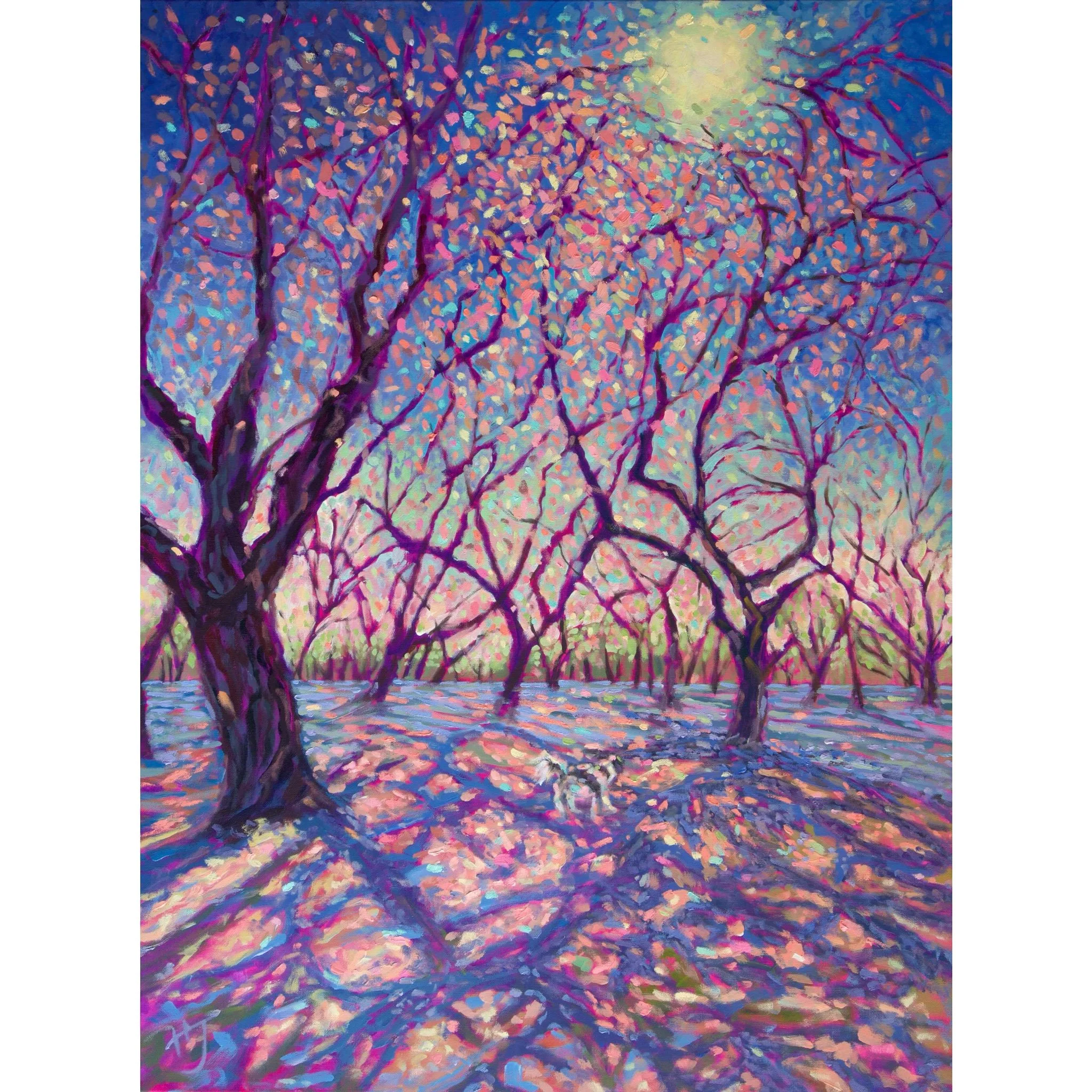 Cherry Blossom - Blessings