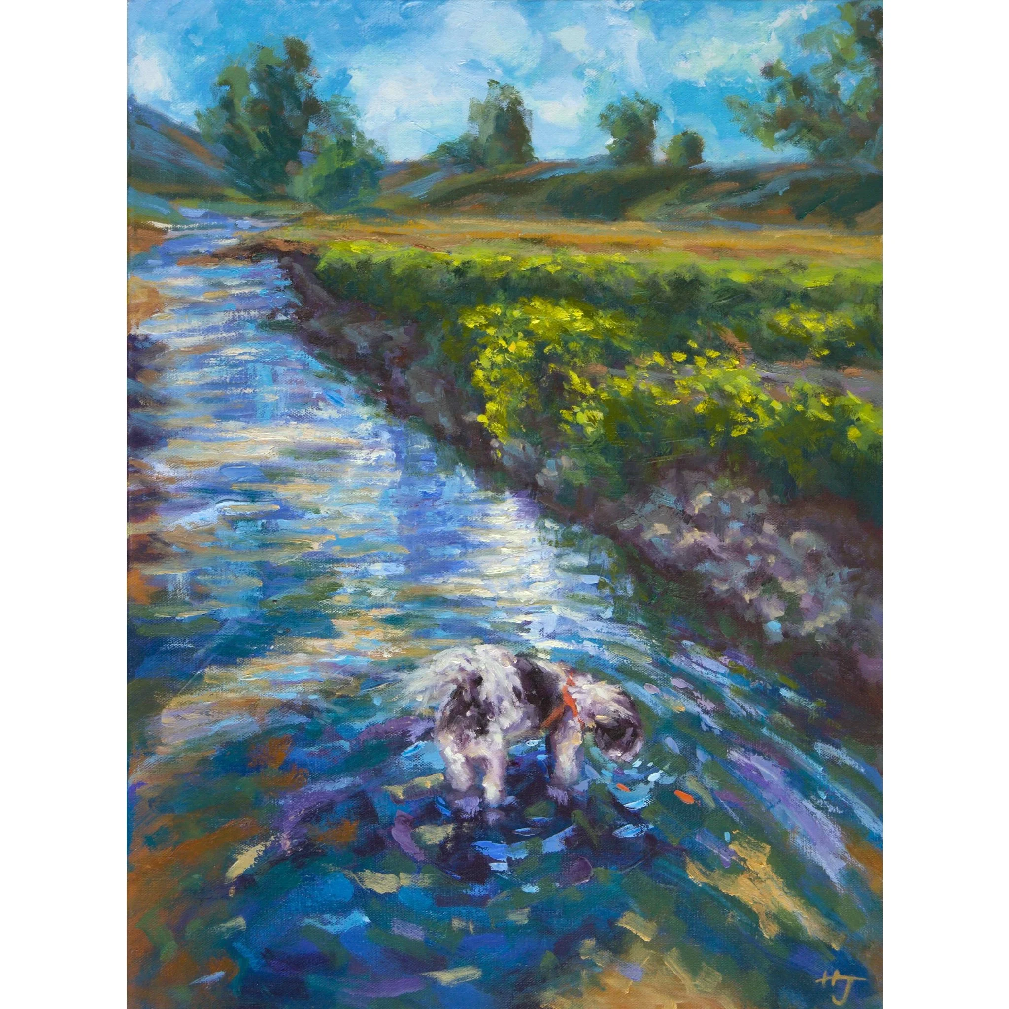 Refreshing Oasis