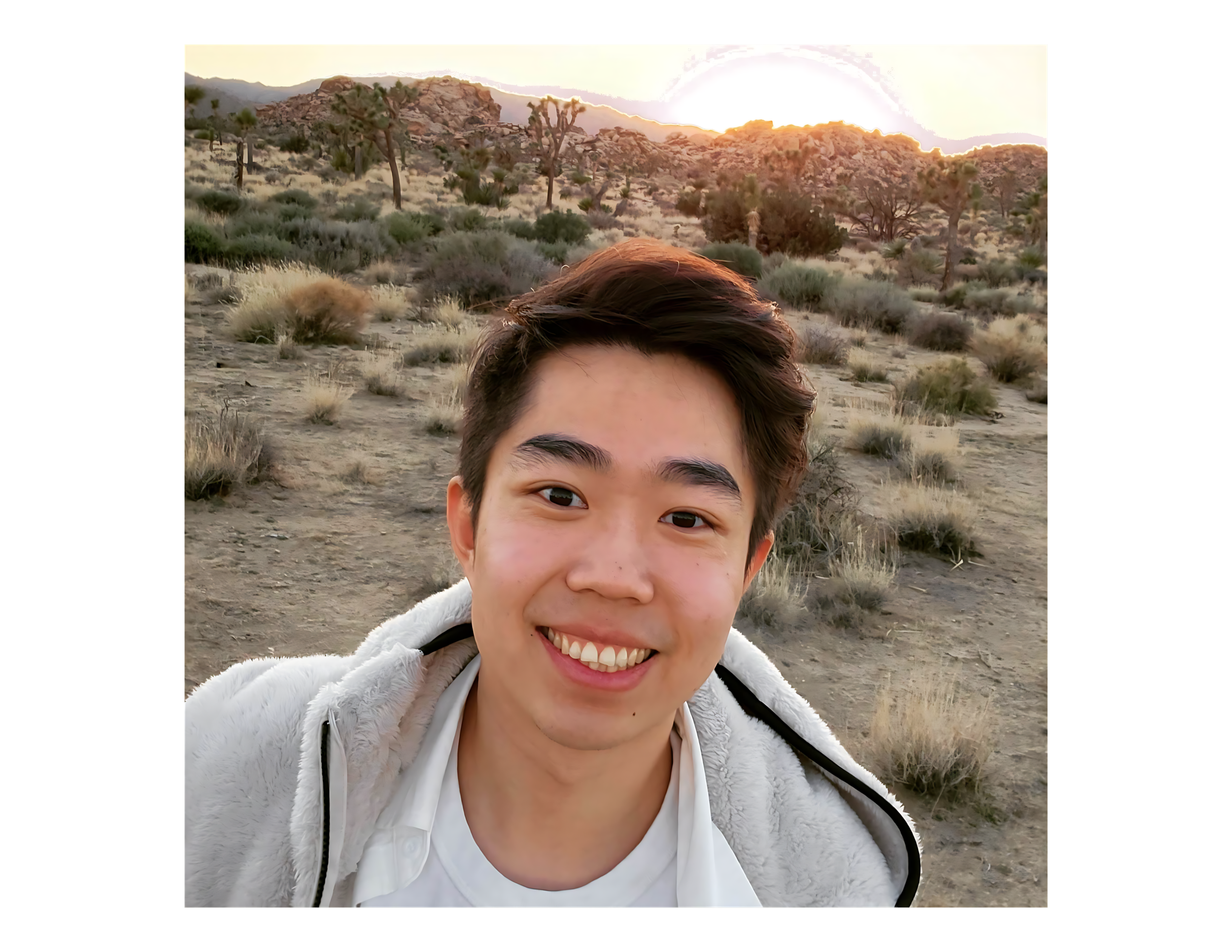 Sharpened image with Canva Ai