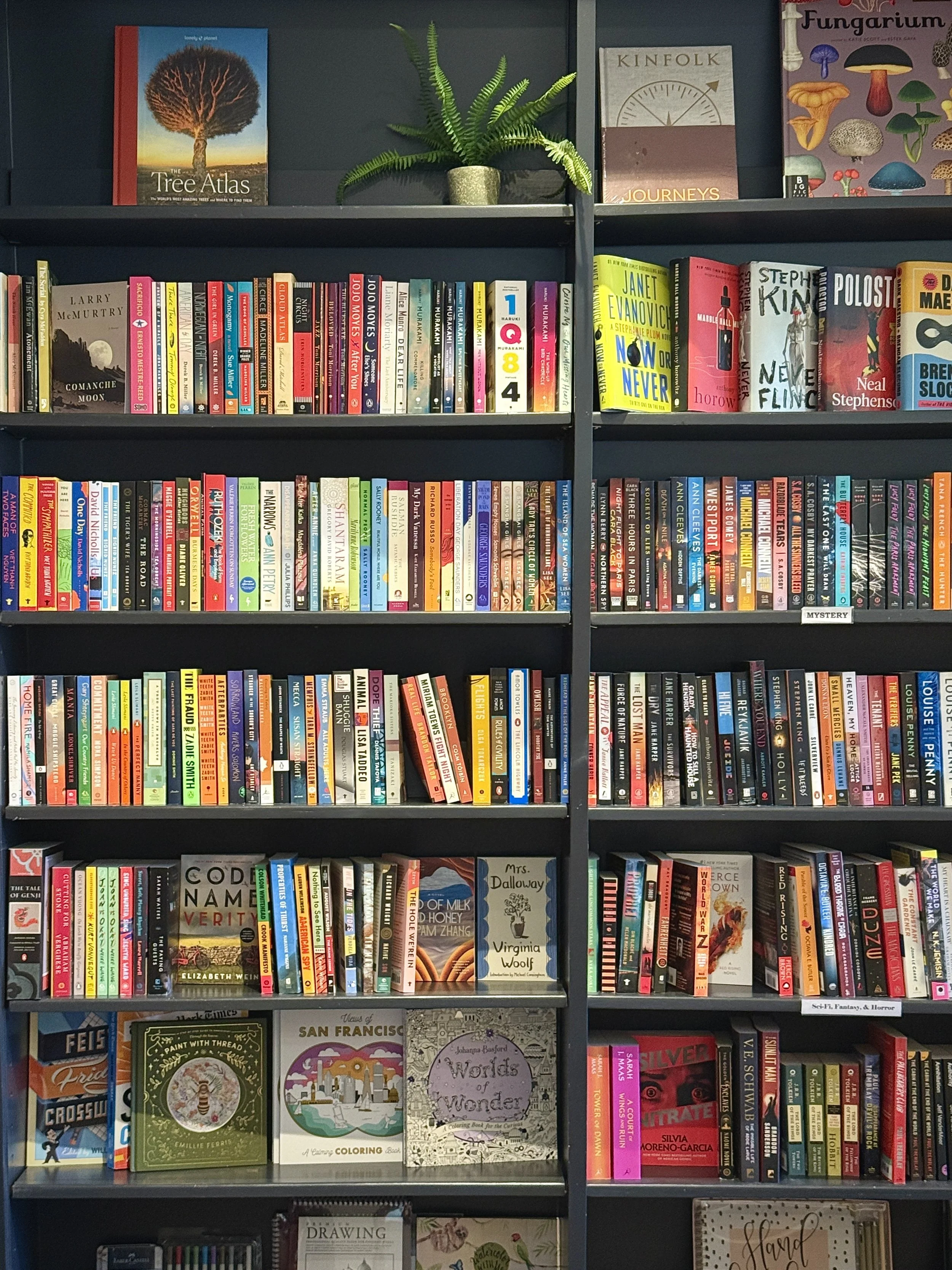 Shelves of books at a bookstore in Mill Valley, California