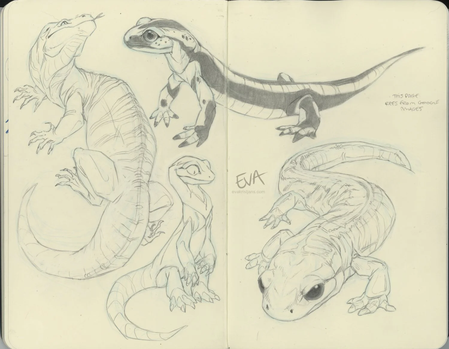 Studies - Random 002
