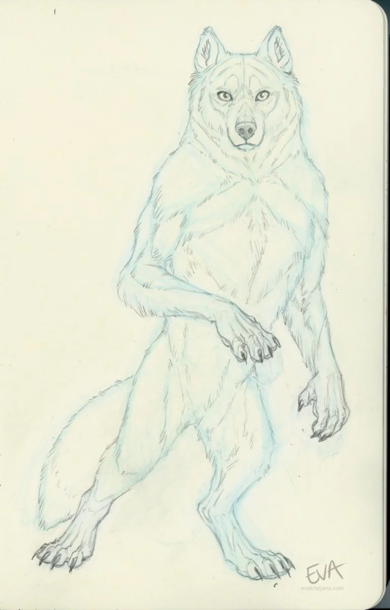 Sketch - Random 007