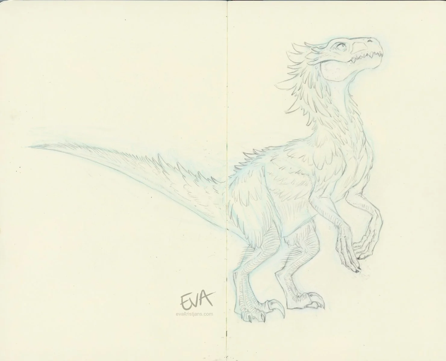 Sketch - Dino 01