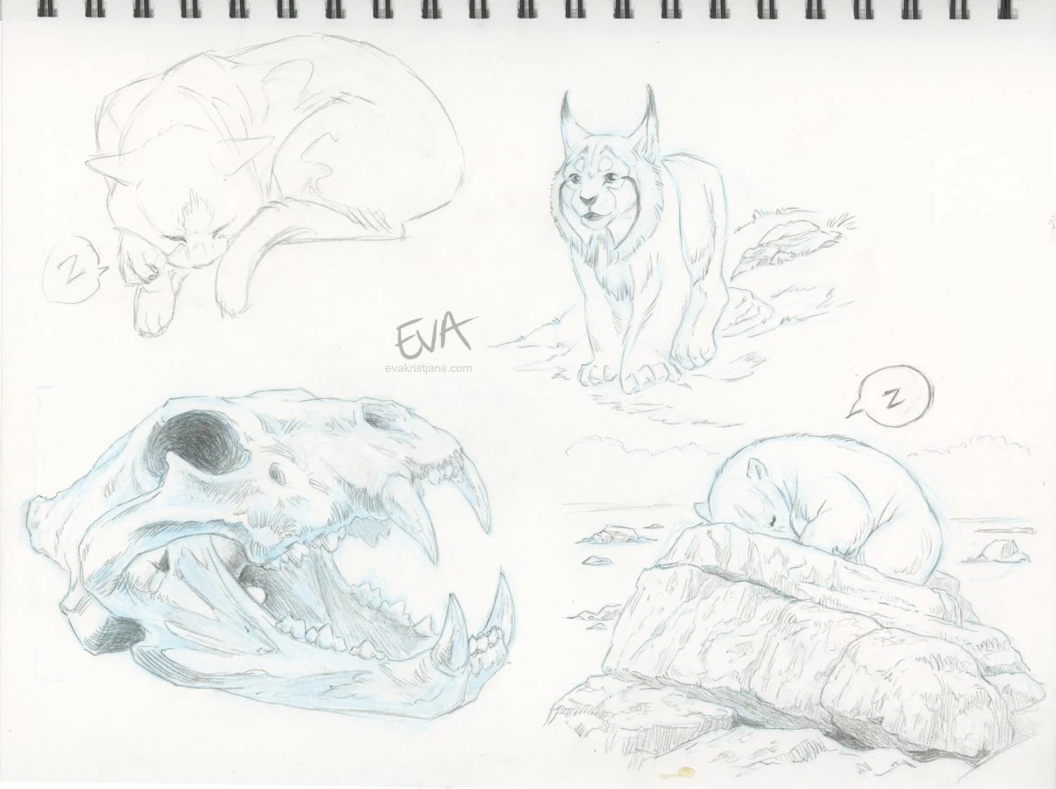 Studies - Random 001