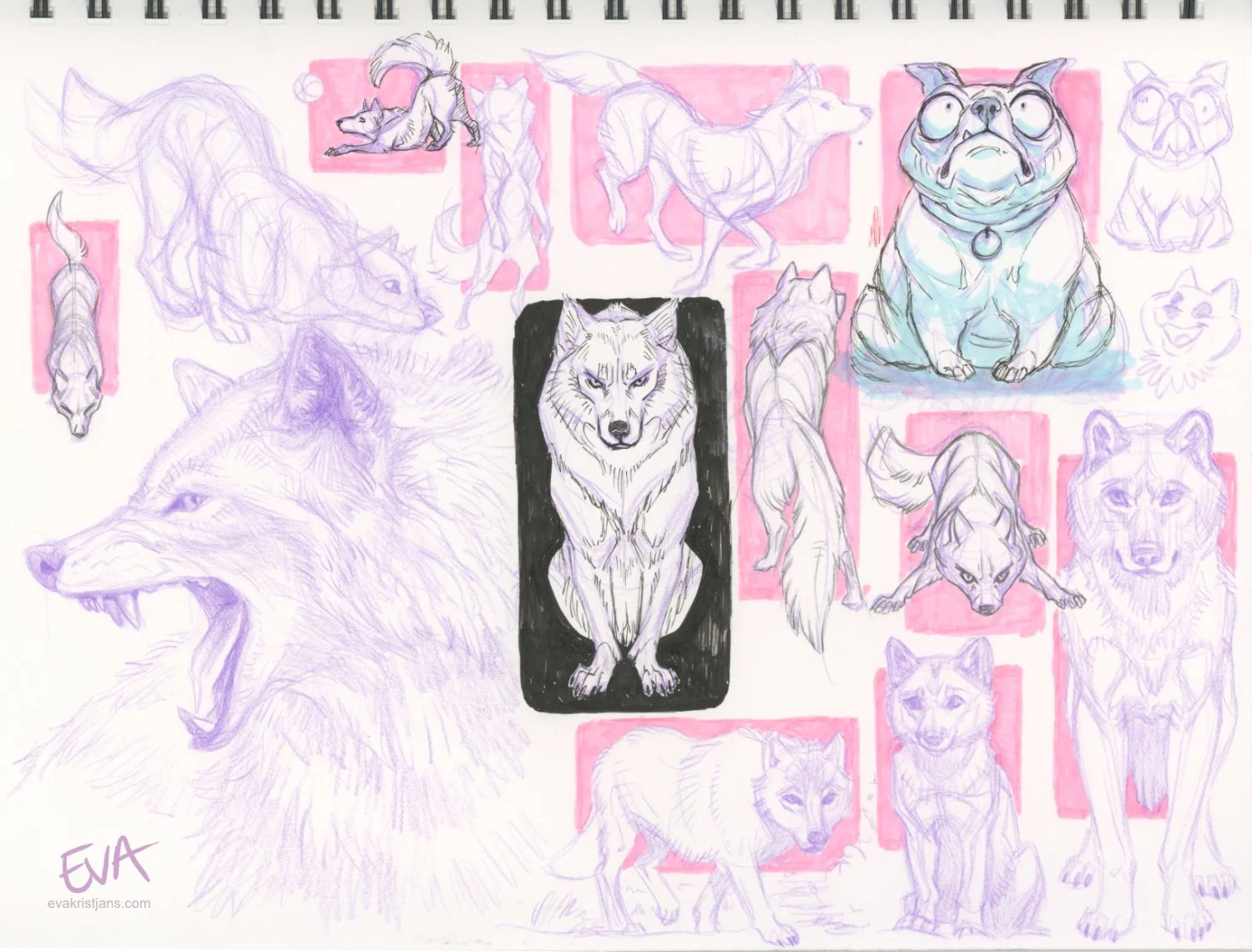 Sketch - Canids 01