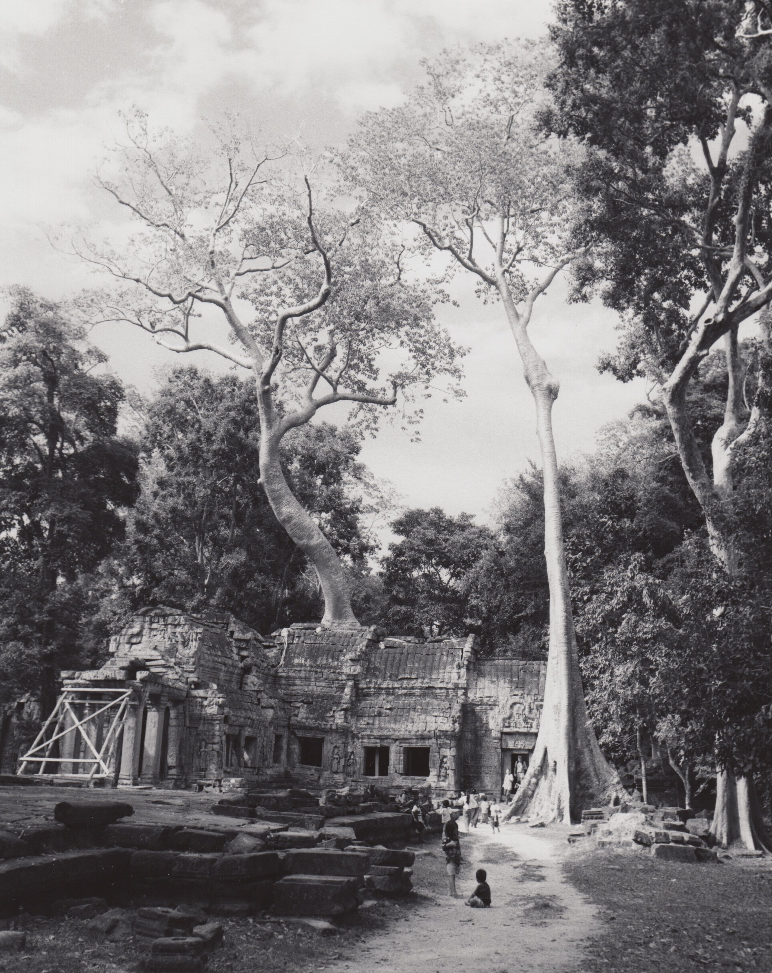 Ta Prohm