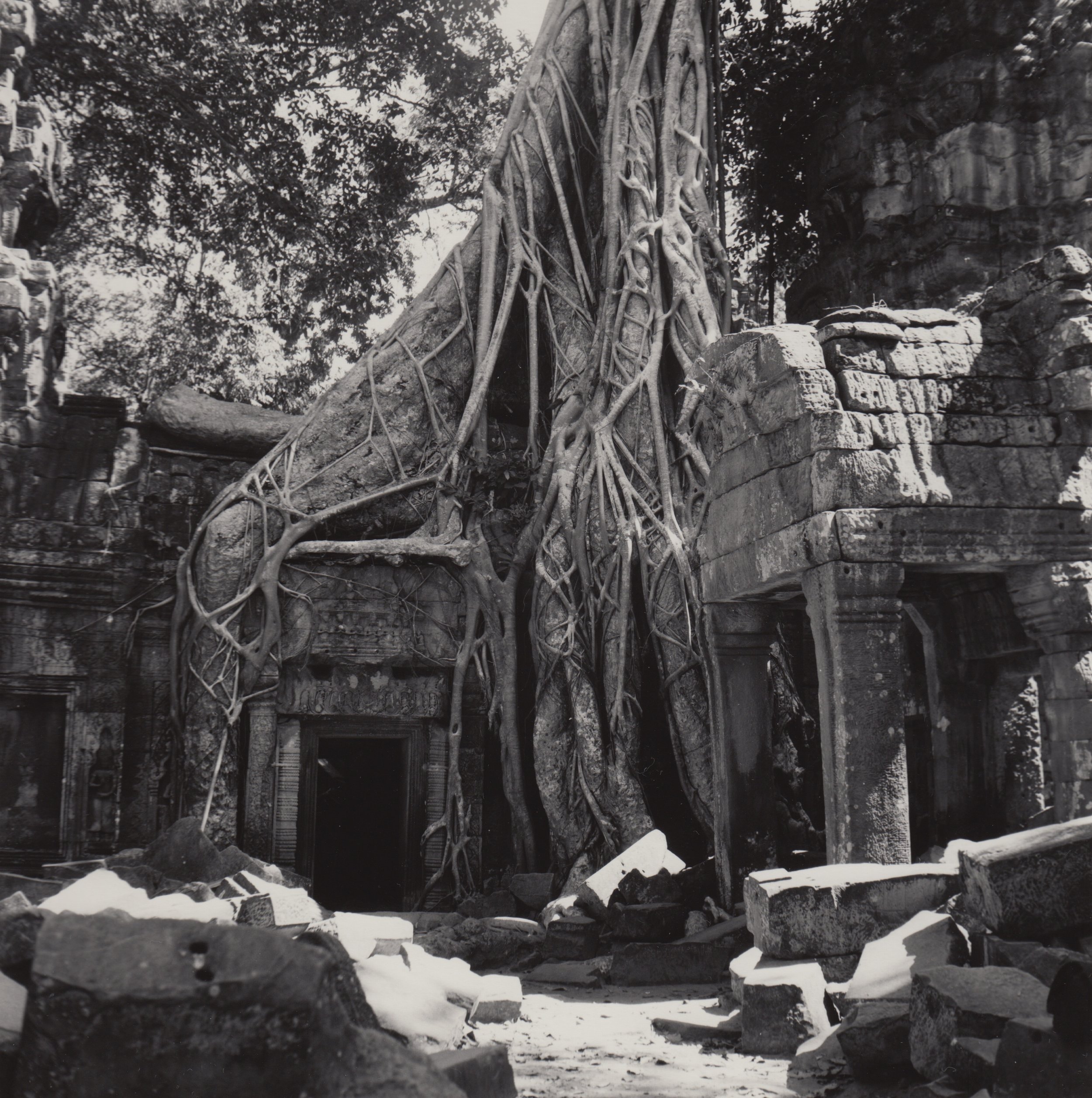 Ta Prohm 03