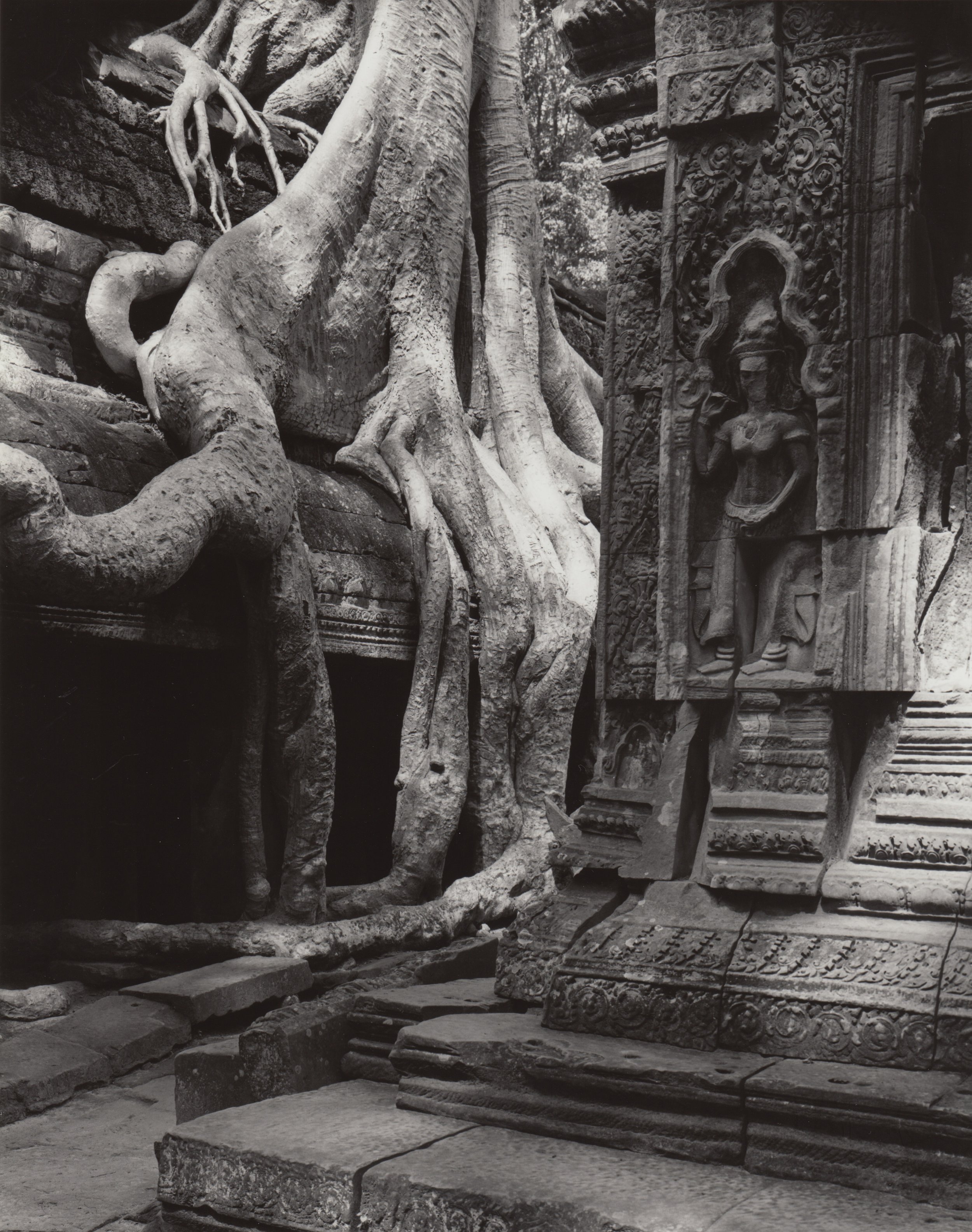 Ta Prohm