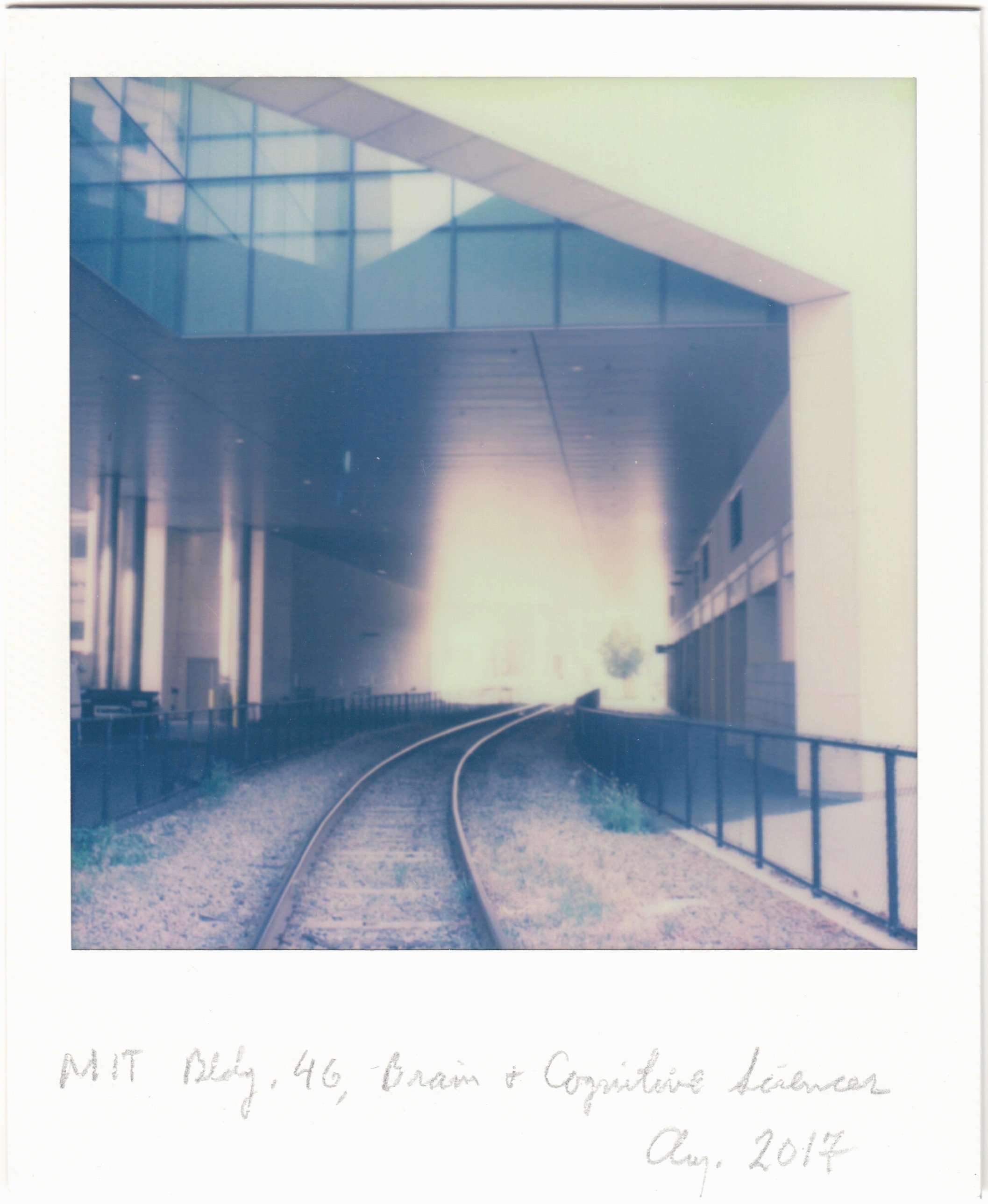 MIT Brain and Cognitive Sciences (Cambridge, Mass.)