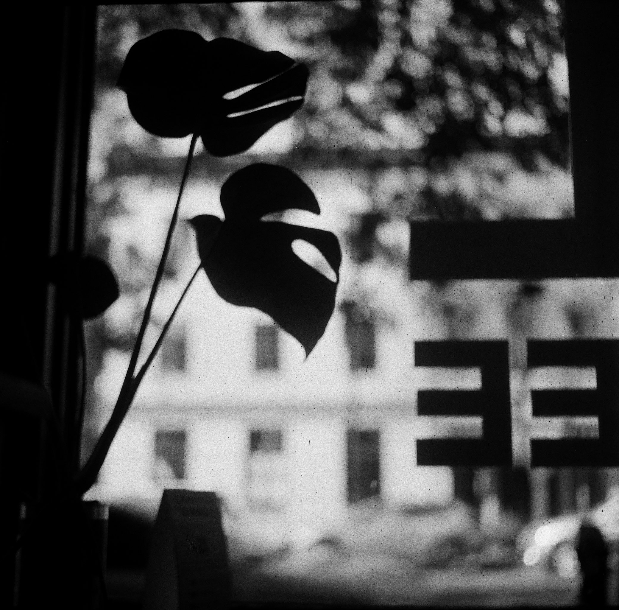Compass Coffee Roasters (Washington, D.C.)