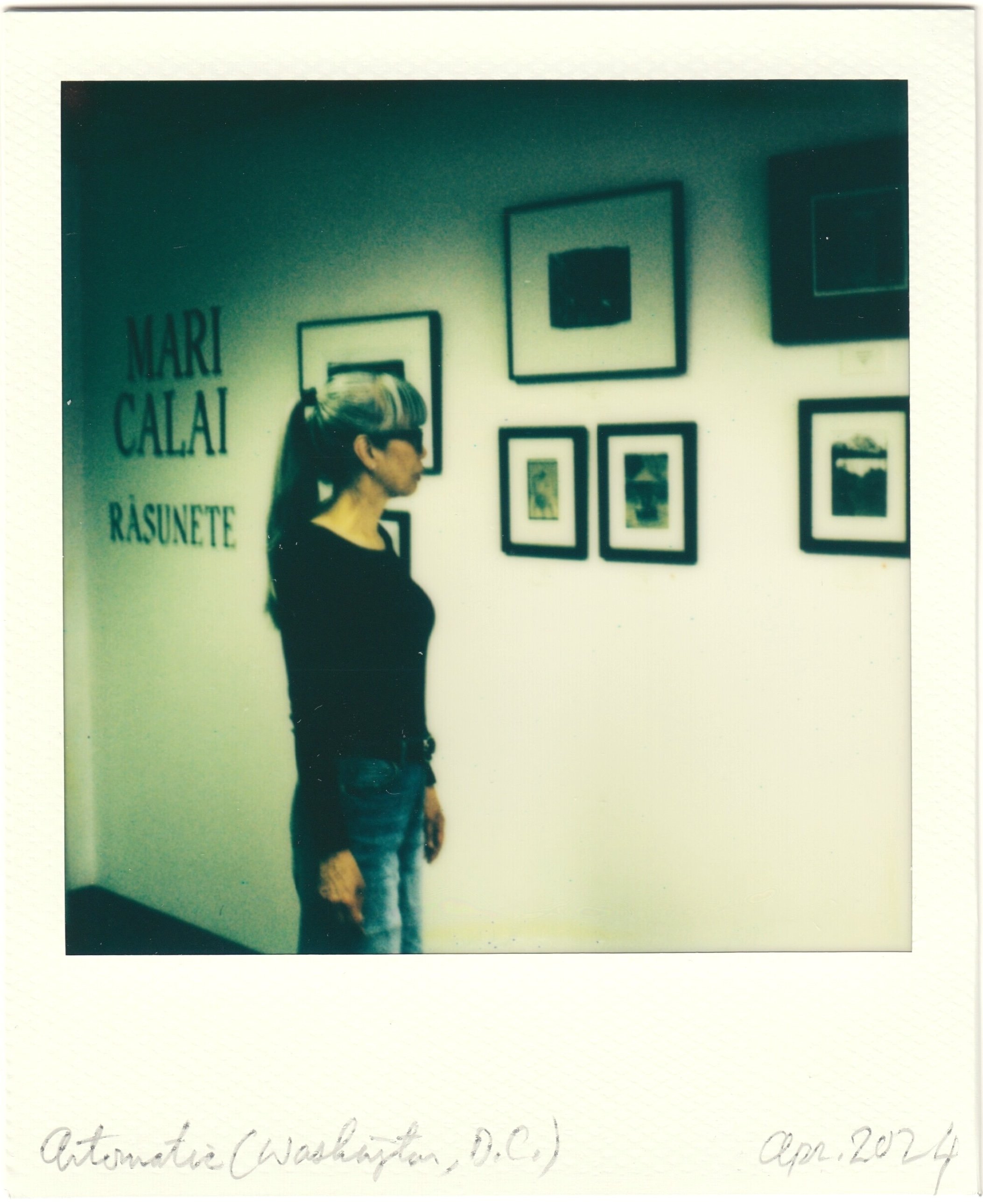 Mari Calai gallery at Artomatic (Washington, D.C.)