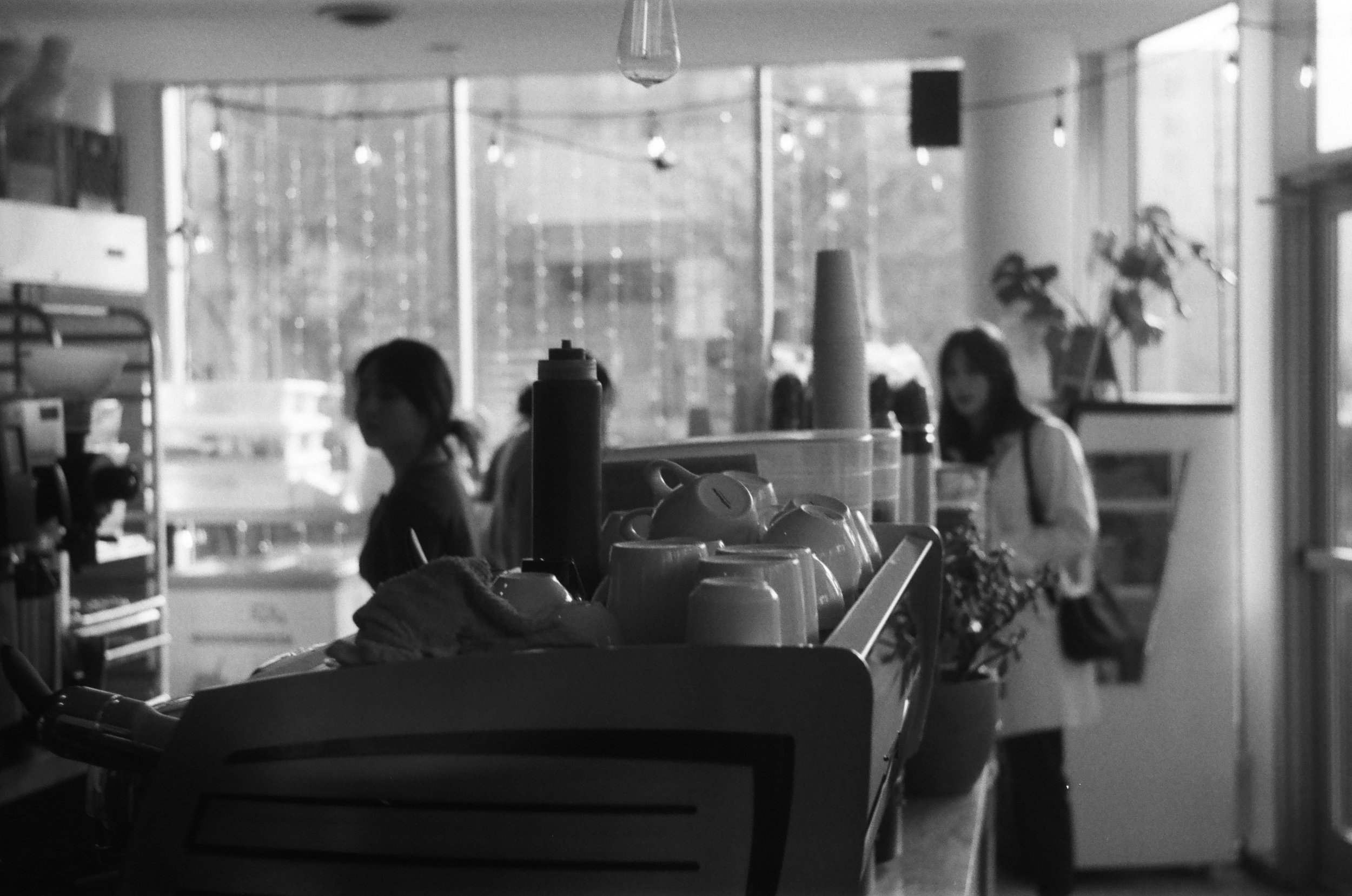 Great Dane Coffee (Vancouver, B.C.)