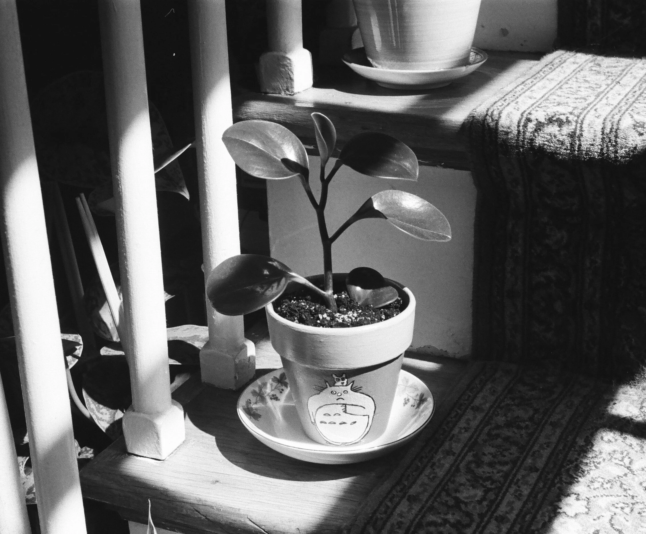 Totoro flower pot by Lisa Koenig