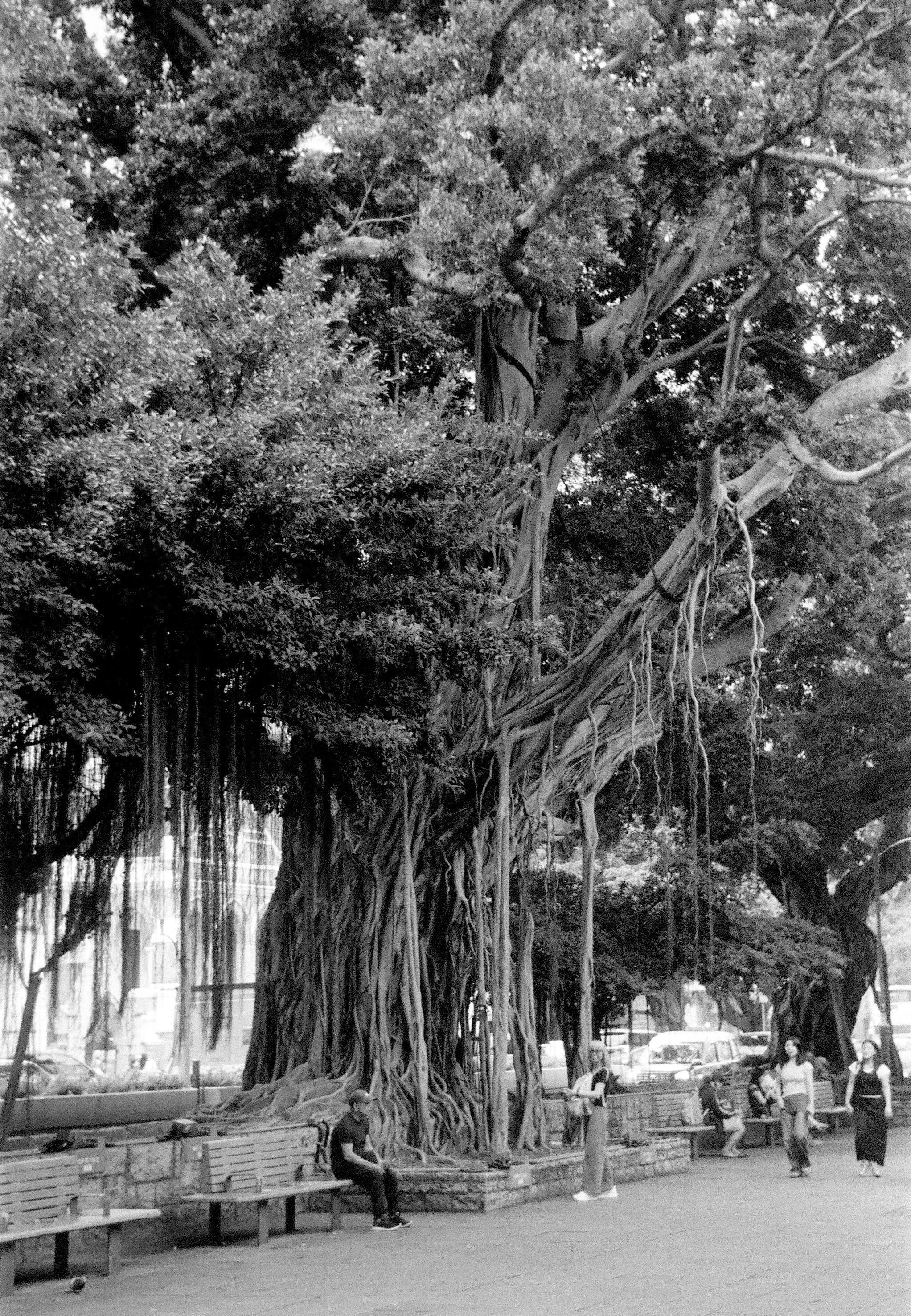 Nathan Road, Kowloon, Hong Kong