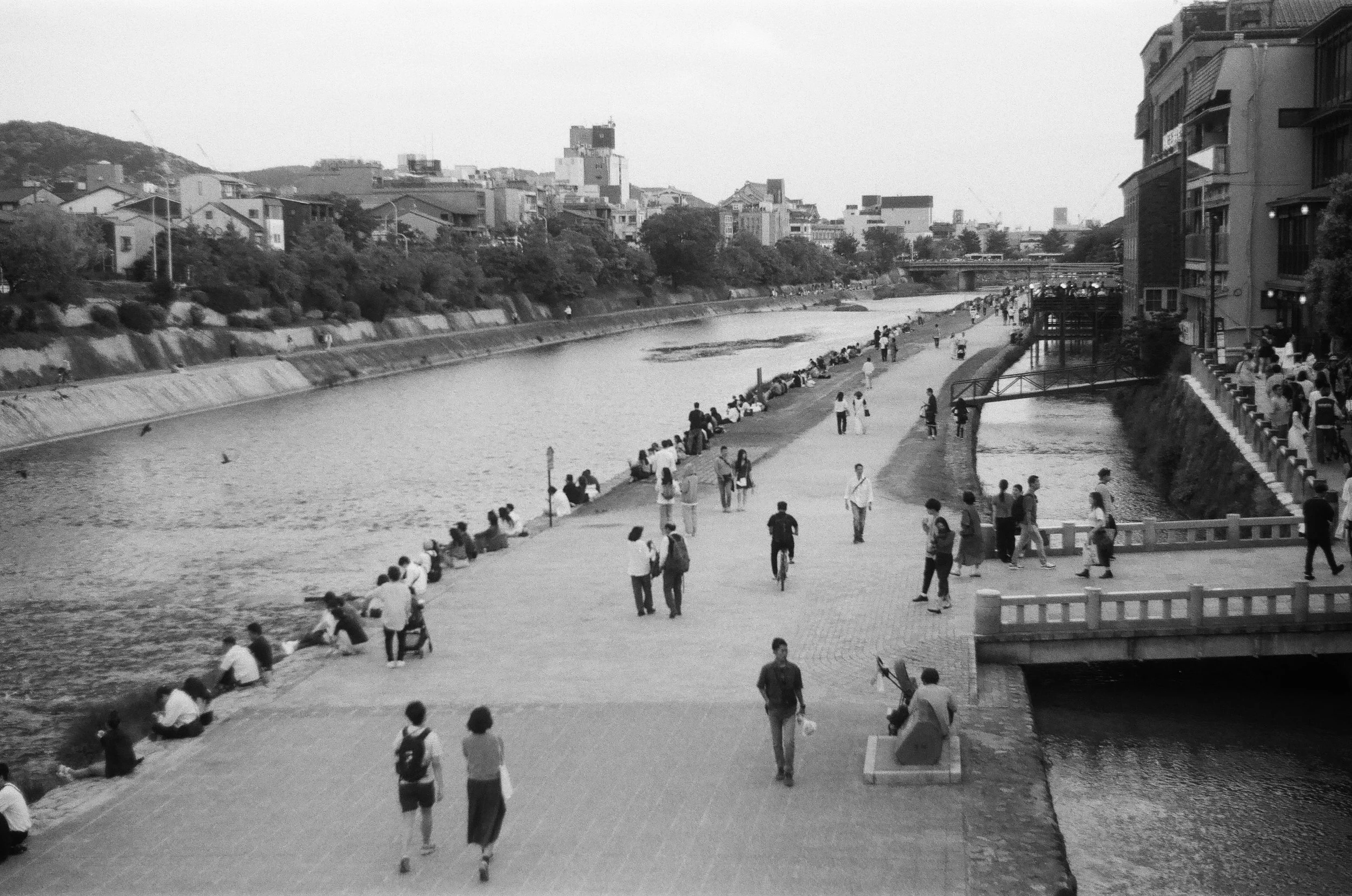 Kamo river