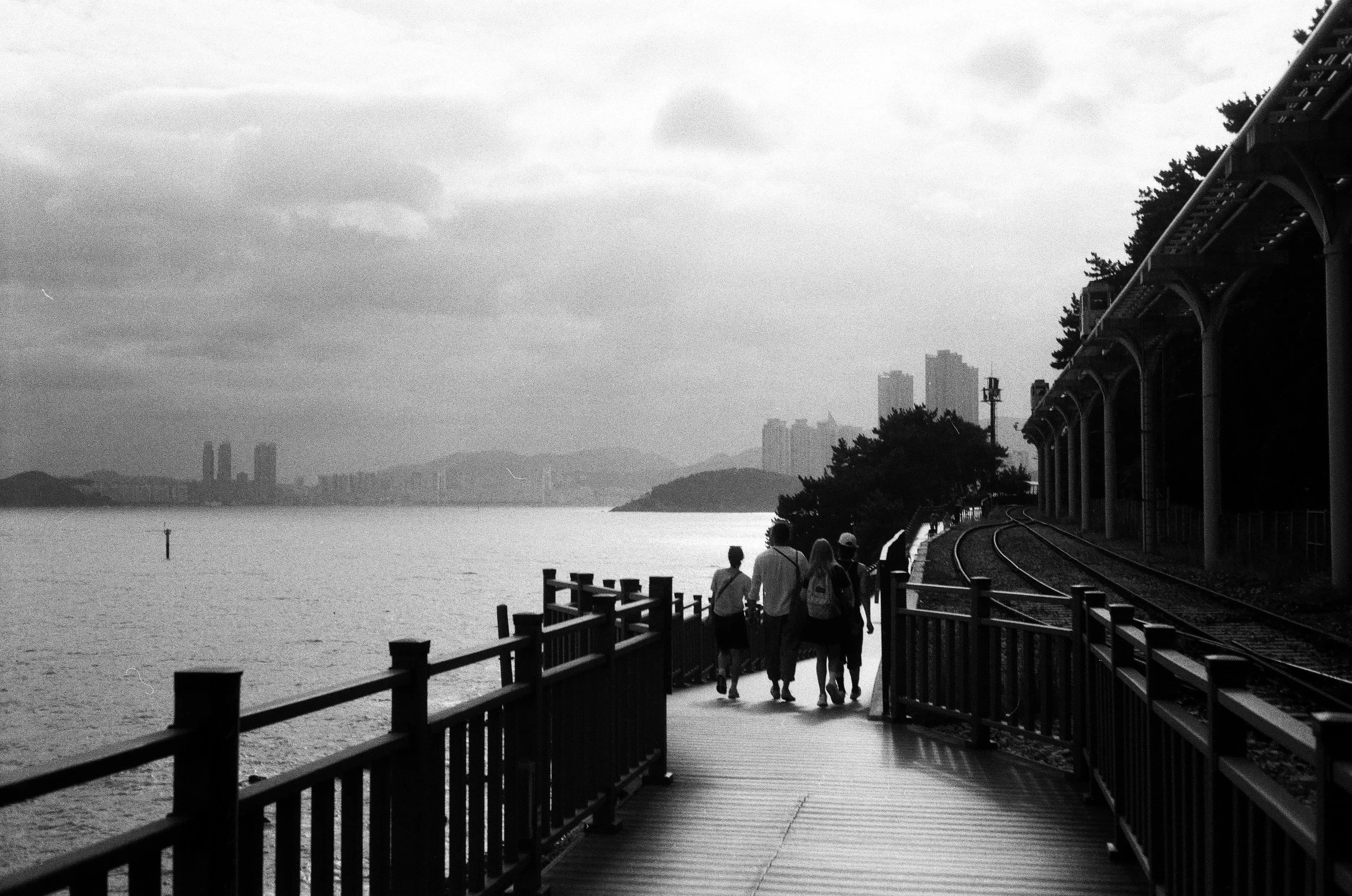 A walk along the shoreline
