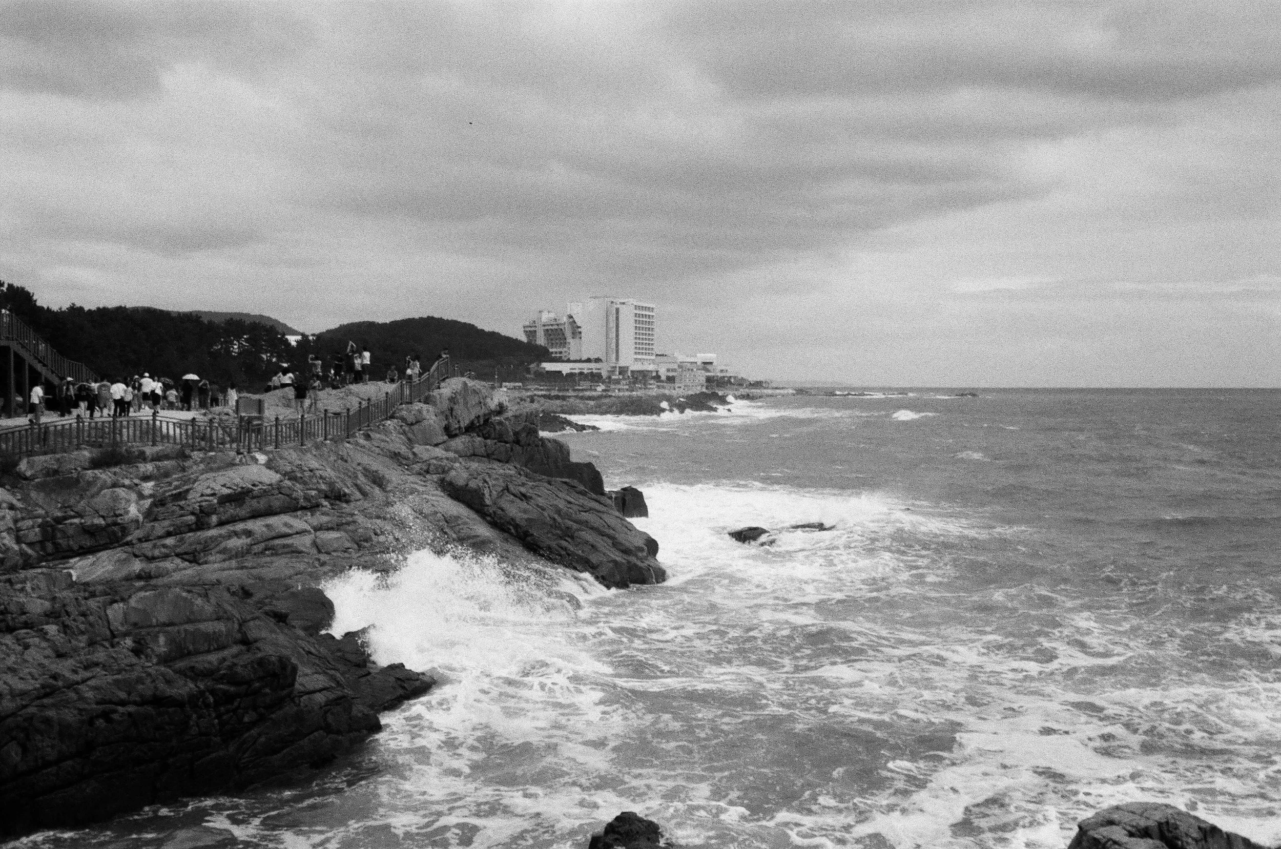 A walk along the shoreline