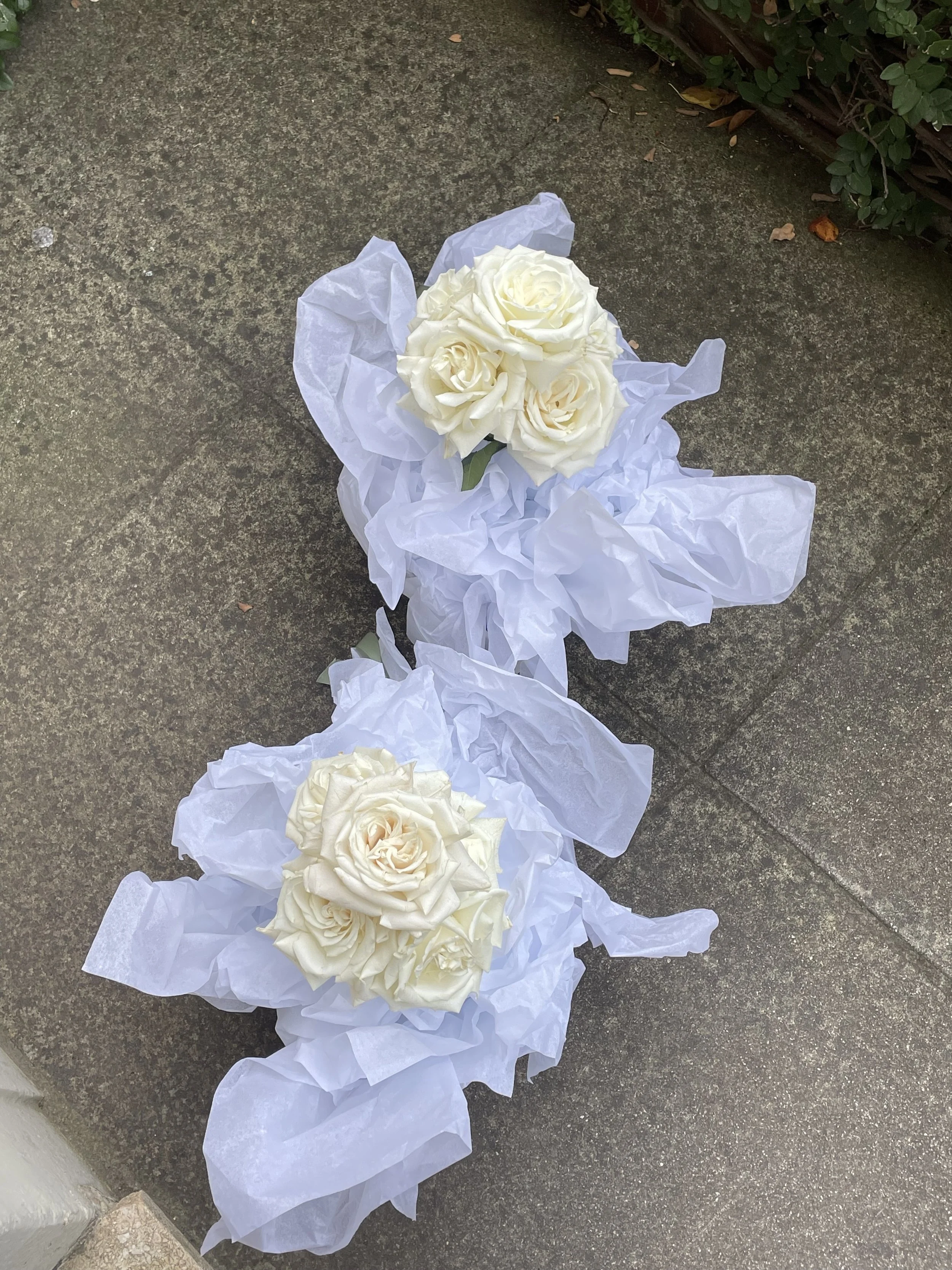 Elopement Package