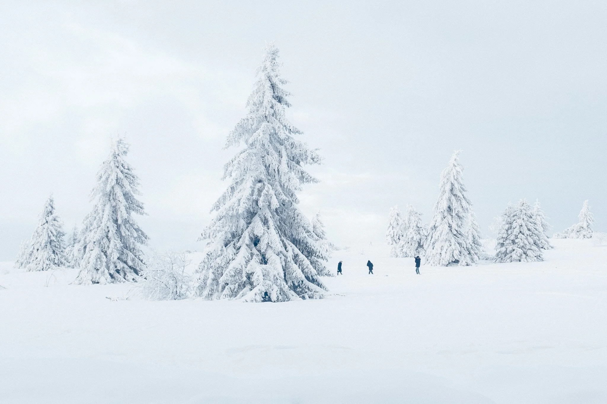 Photographie de trois personnes marchant dans la neige des montagnes des vosges, France. Fotografie von drei Personen, die durch den Schnee der Vogesen-Berge laufen.