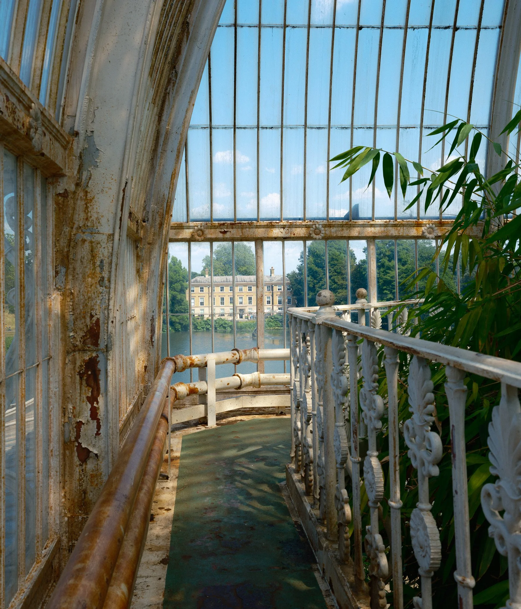 Photographie par Antoine Georgelin, vue du jardin botanique de Kew Gardens depuis l'étage d'une serre à Londres, Angleterre. Fotografie von Antoine Georgelin, Blick auf den Botanischen Garten von Kew Gardens vom Obergeschoss eines Gewächshauses