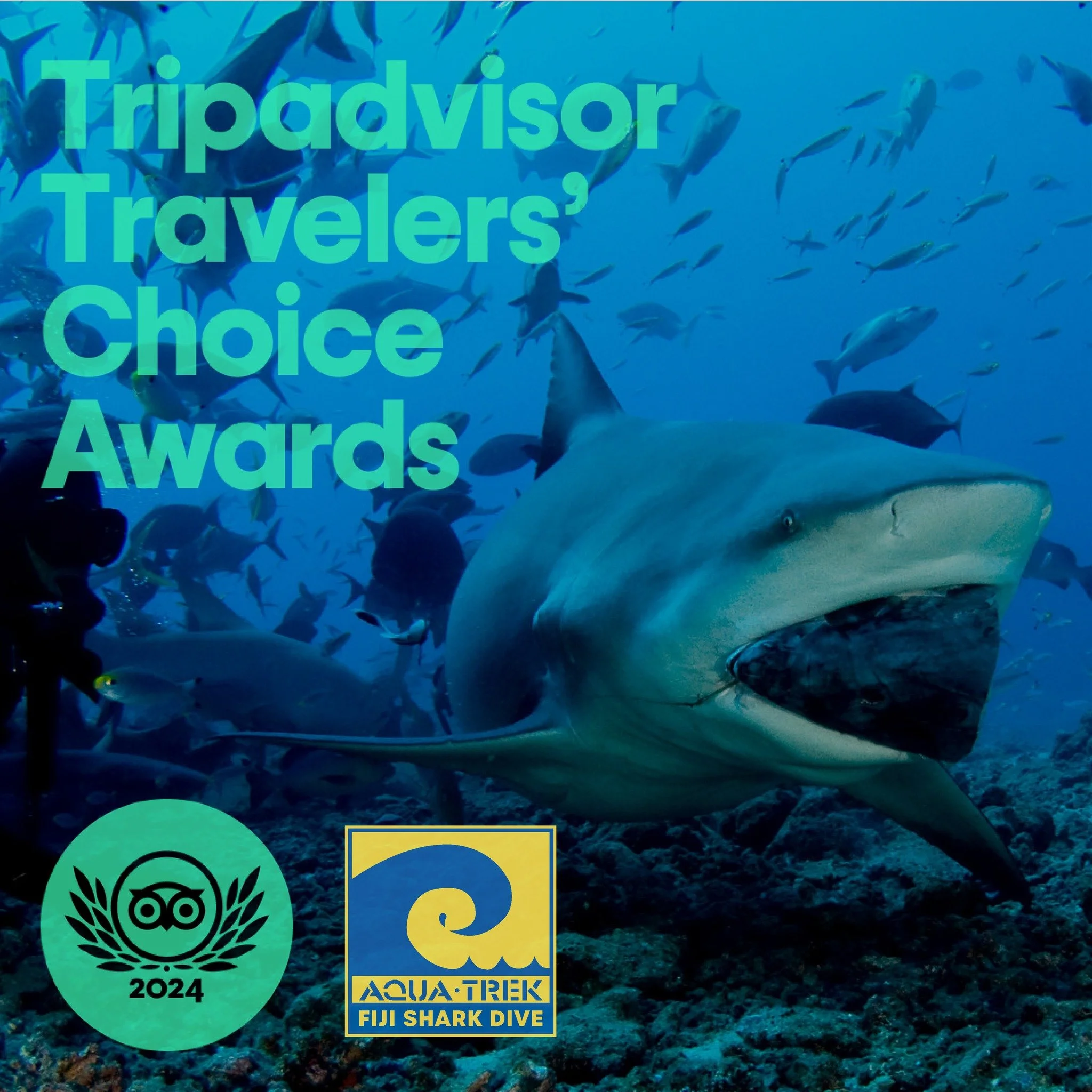Yay! Thanks to all of the amazing customers that gave us excellent reviews, we received the Tripadvisor Traveler's Choice Award 2024, and we're now among the top 10% of  things to do worldwide! VINAKA VAKALEVU! 🥳🩵🦈

photo credit: Colin Gans 👌

#t