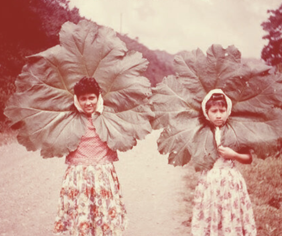 How Ceremonies Are Held at Alkhemi