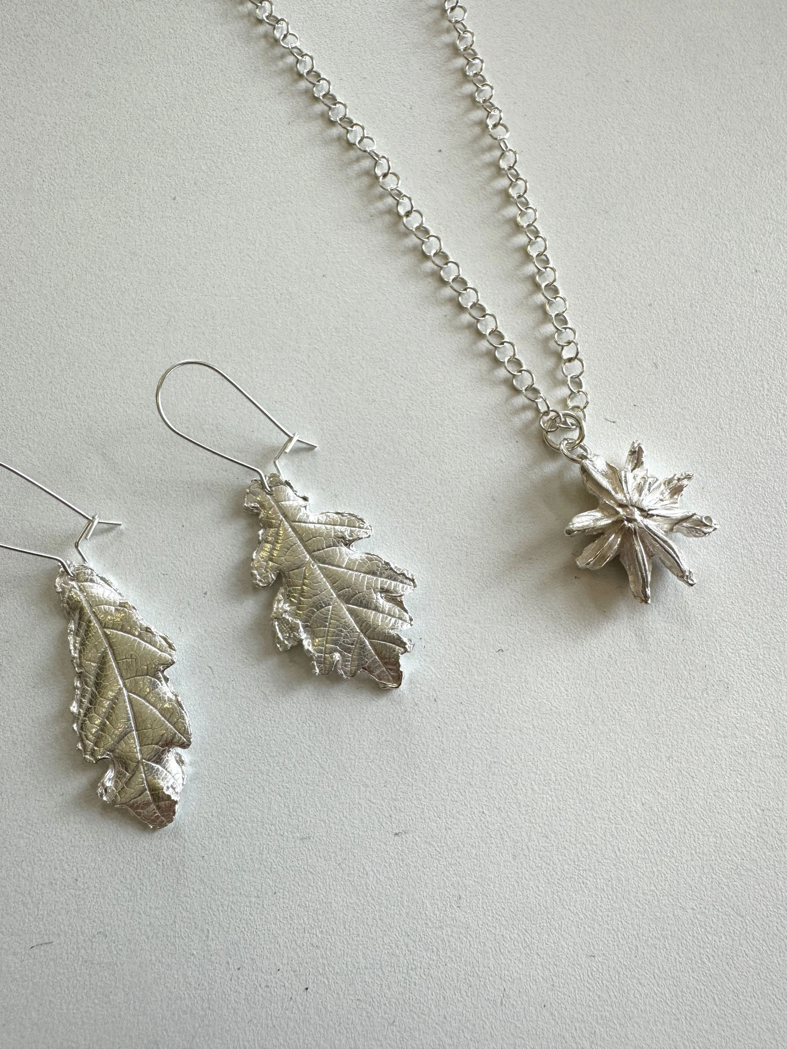 IMG_3893.jpeg