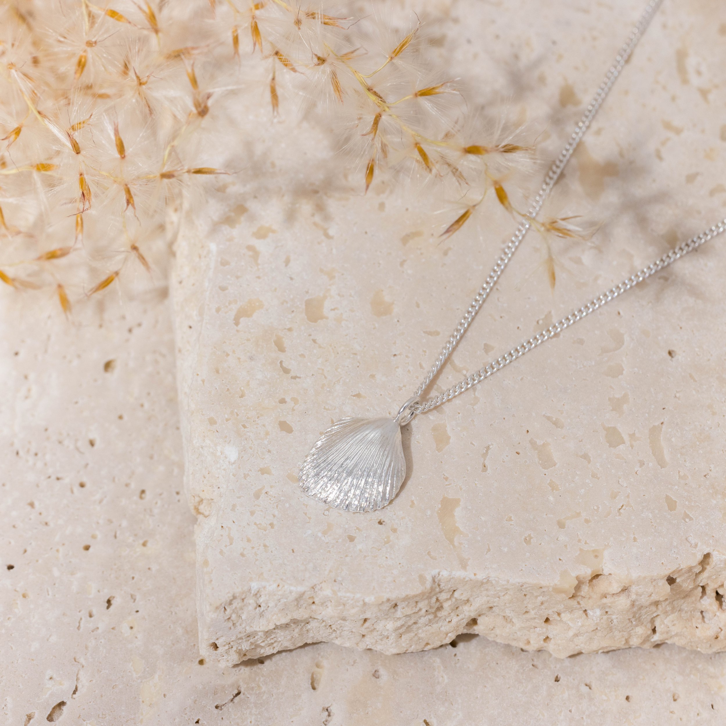 Sterling silver cockle shell pendant necklace with fine detailing on a delicate silver chain, inspired by coastal beachcombing.