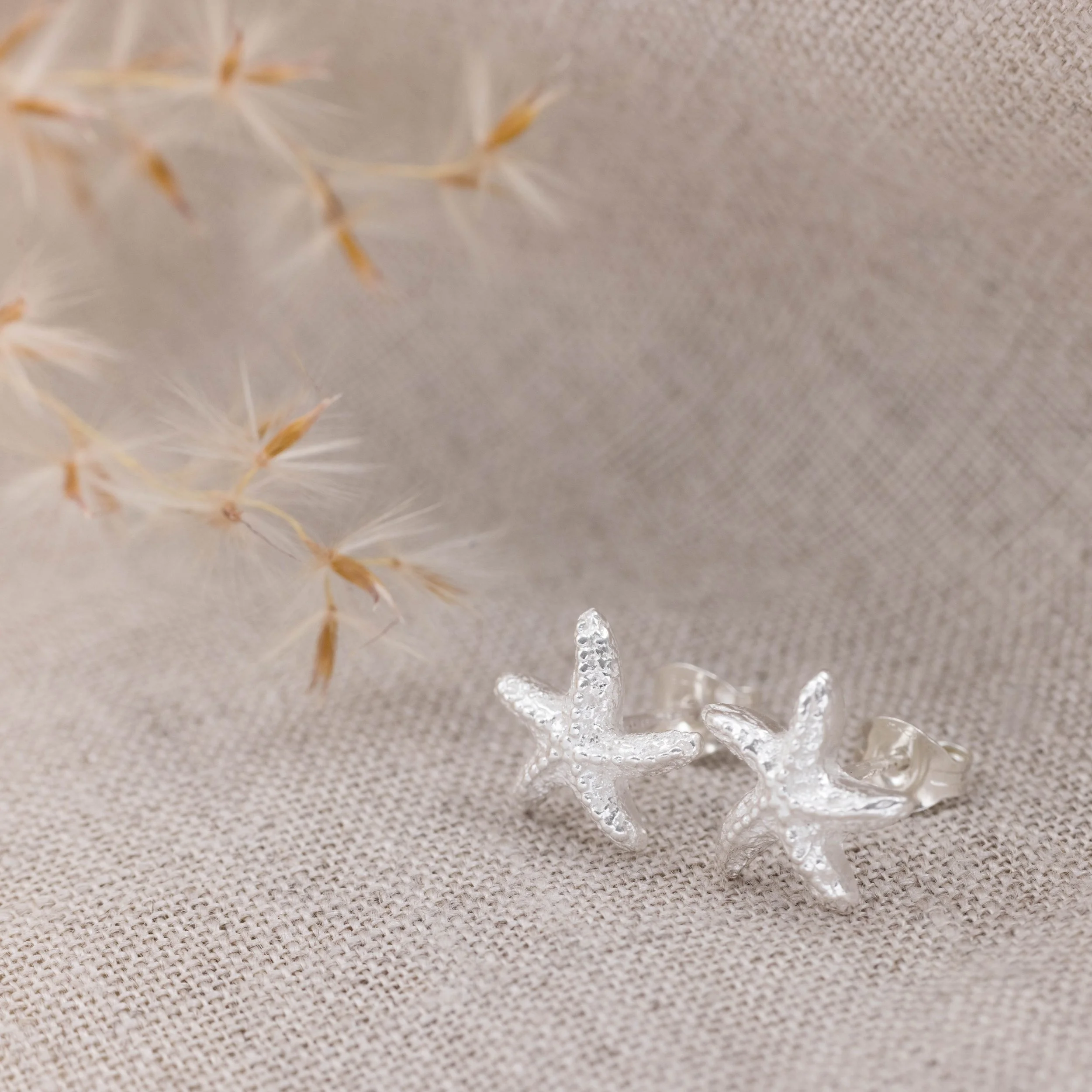 Silver starfish stud earrings with textured detailing and polished finish, part of the Silver Daisy Coastal Collection.