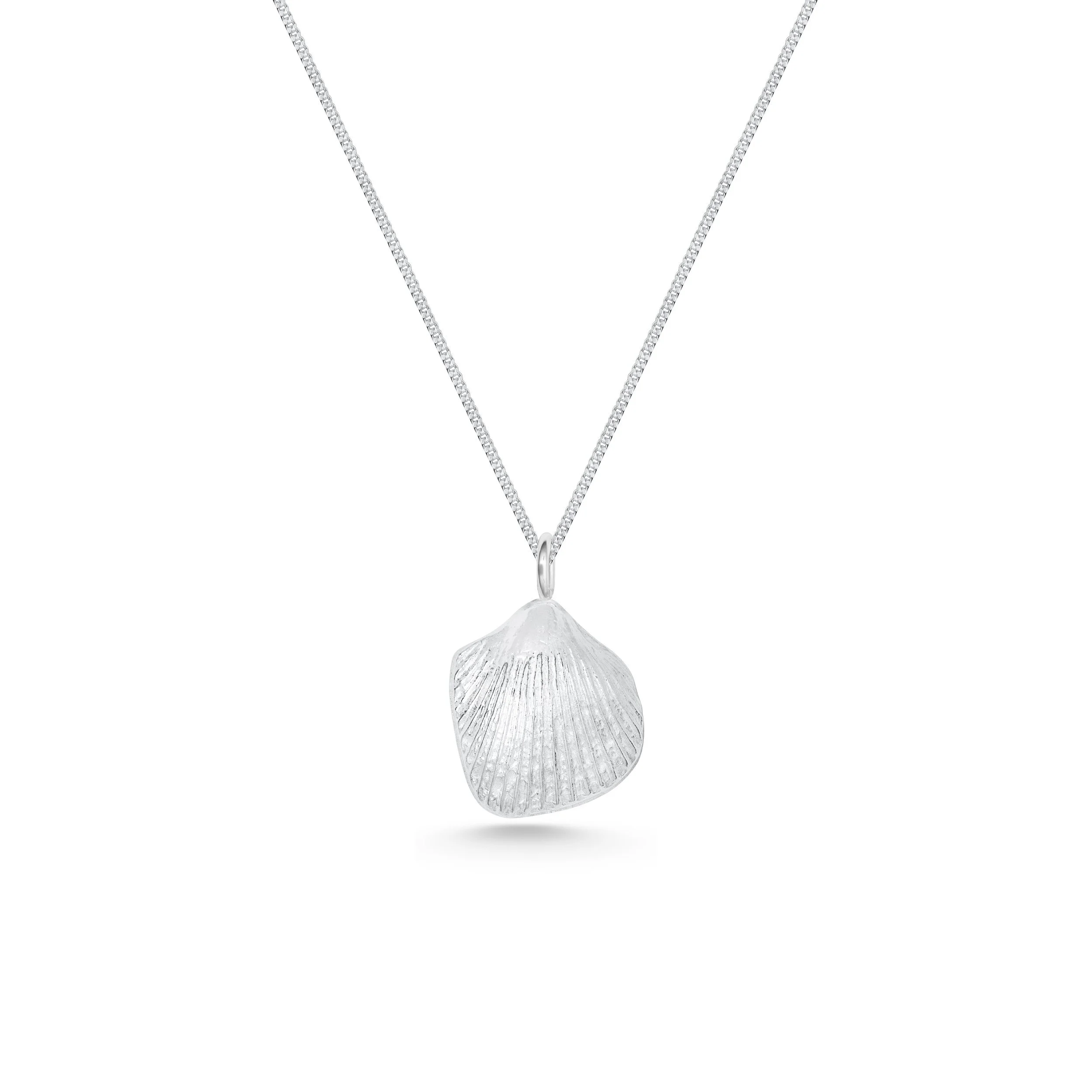 Sterling silver cockle shell pendant necklace with fine detailing on a delicate silver chain, inspired by coastal beachcombing.