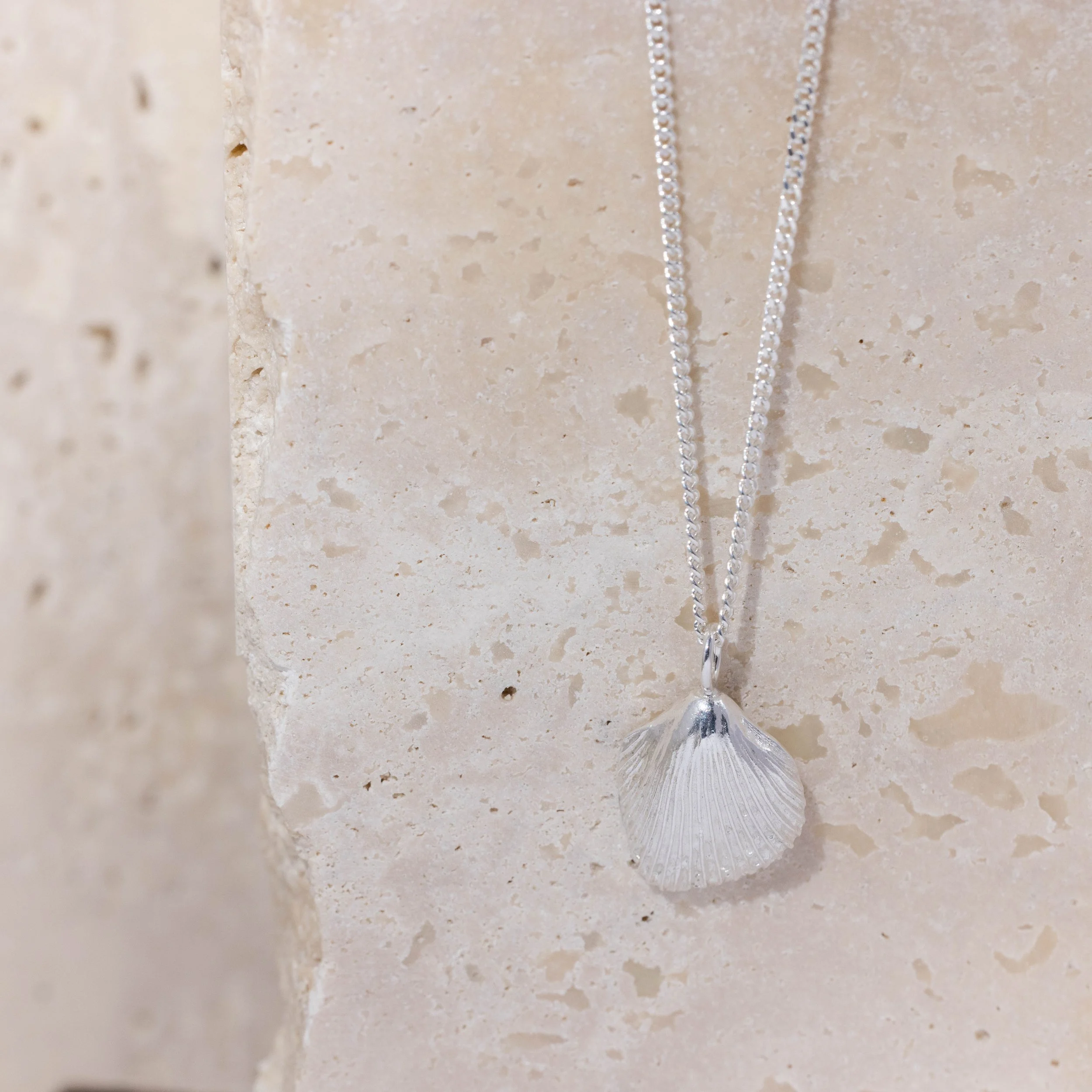 Sterling silver cockle shell pendant necklace with fine detailing on a delicate silver chain, inspired by coastal beachcombing.